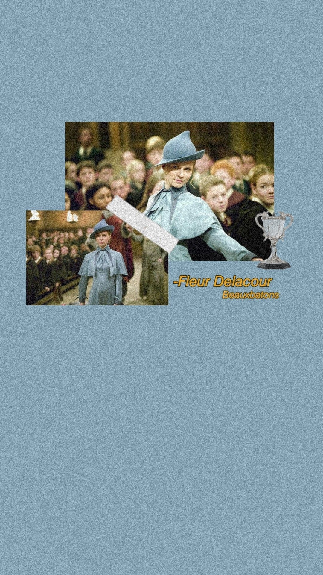 Fleur Delacour, Sperrbildschirm, Magie, Filme, Charakter, 1080x1930 HD Handy