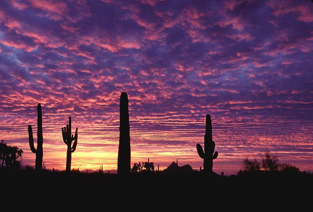 Arizona Sonnenuntergang, Himmel, Landschaft, Abendstimmung, 1100x750 HD Desktop