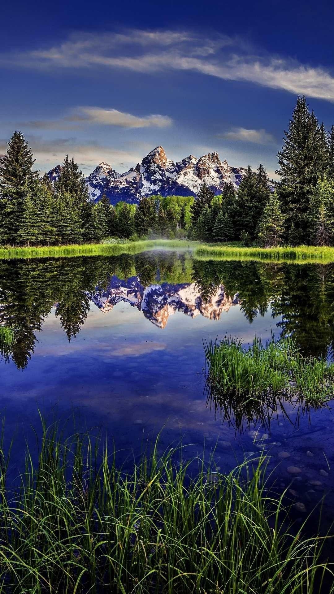 Biberteich, Grand Teton, Nationalpark, Natur, Foto, 1080x1920 Full HD Handy