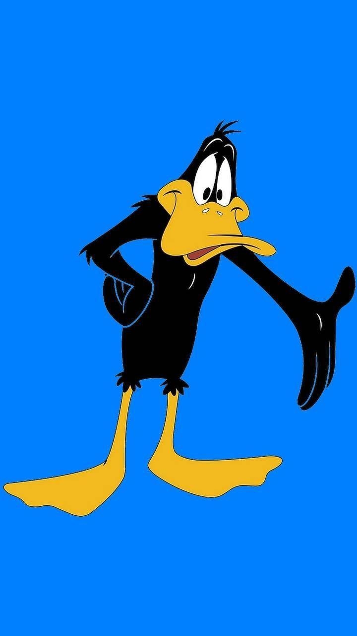 Daffy Duck, Hintergründe, Download, Entenfigur, 720x1280 HD Handy