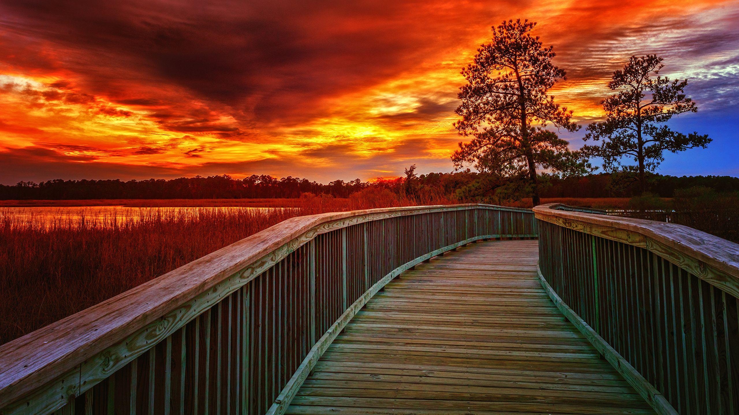 Virginia, USA, Natur, Brücken, Himmel, 2560x1440 HD Desktop