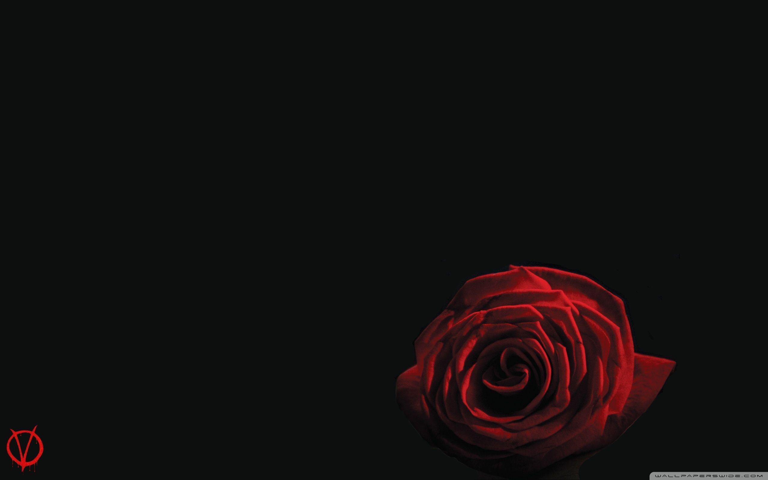 V for Vendetta, Rose, Symbolik, Ultra-HD, Kino, 2560x1600 HD Desktop