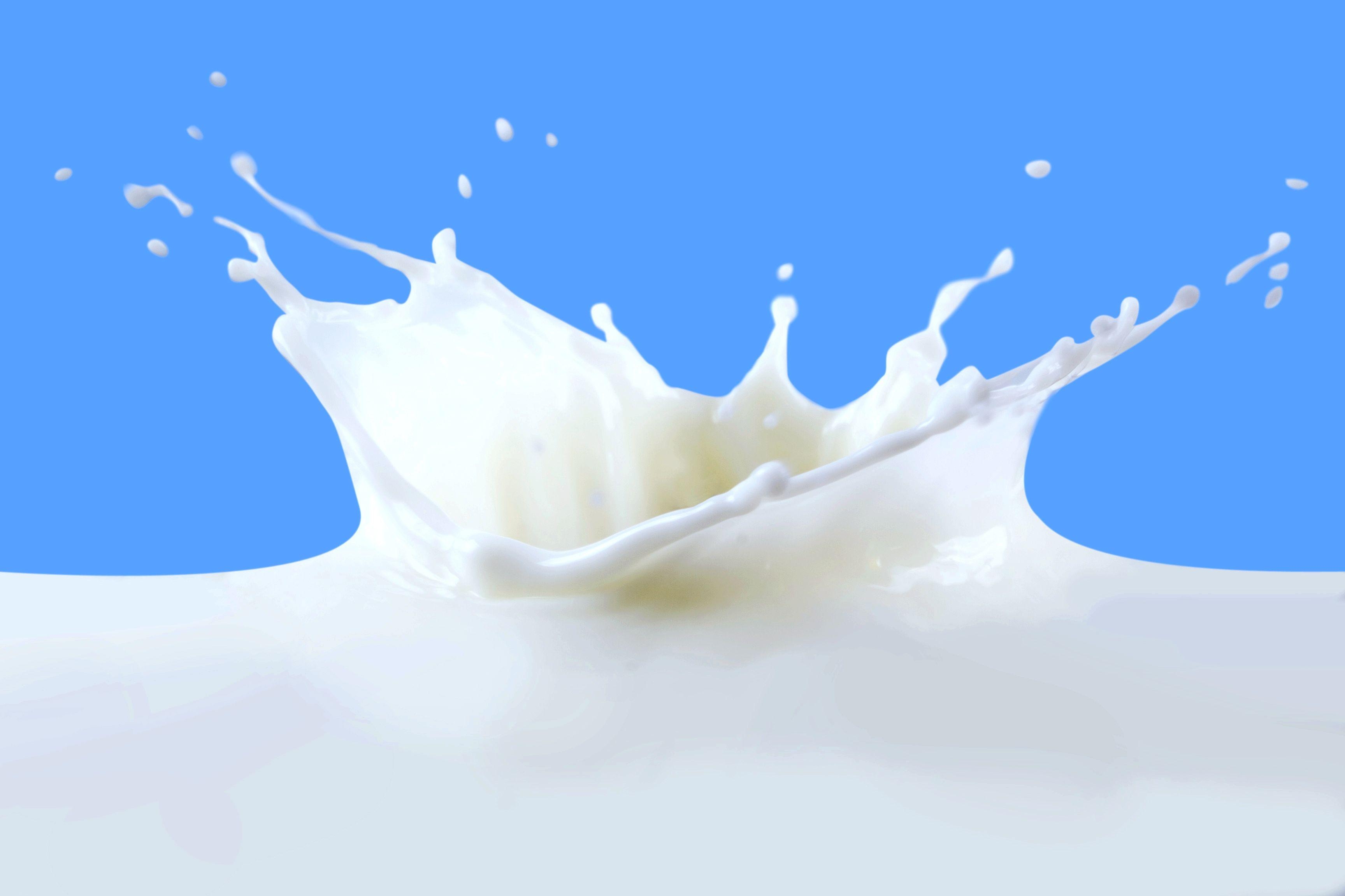 Milch, Bild, Nahrung, Flüssigkeit, HD, 3460x2310 HD Desktop