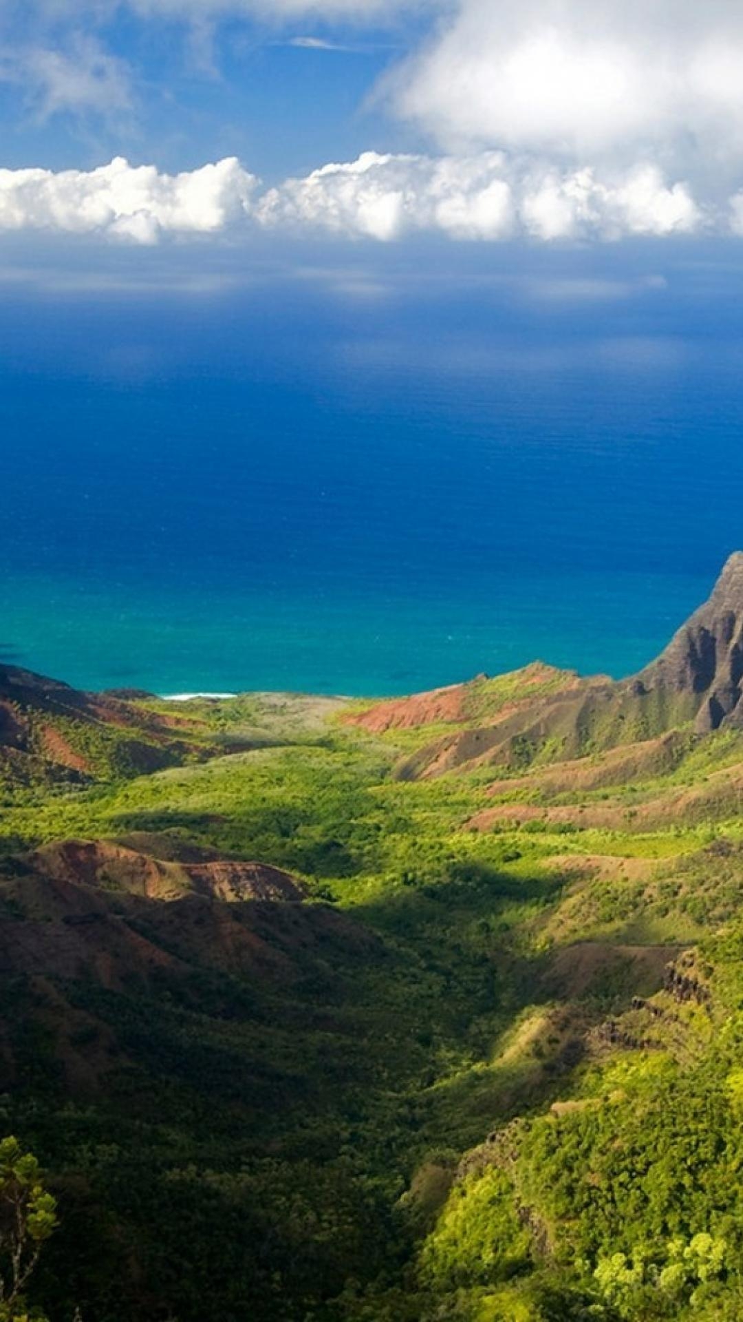 Bäume, Weißes Gras, Hügel, Kauai, Hawaii, 1080x1920 Full HD Handy