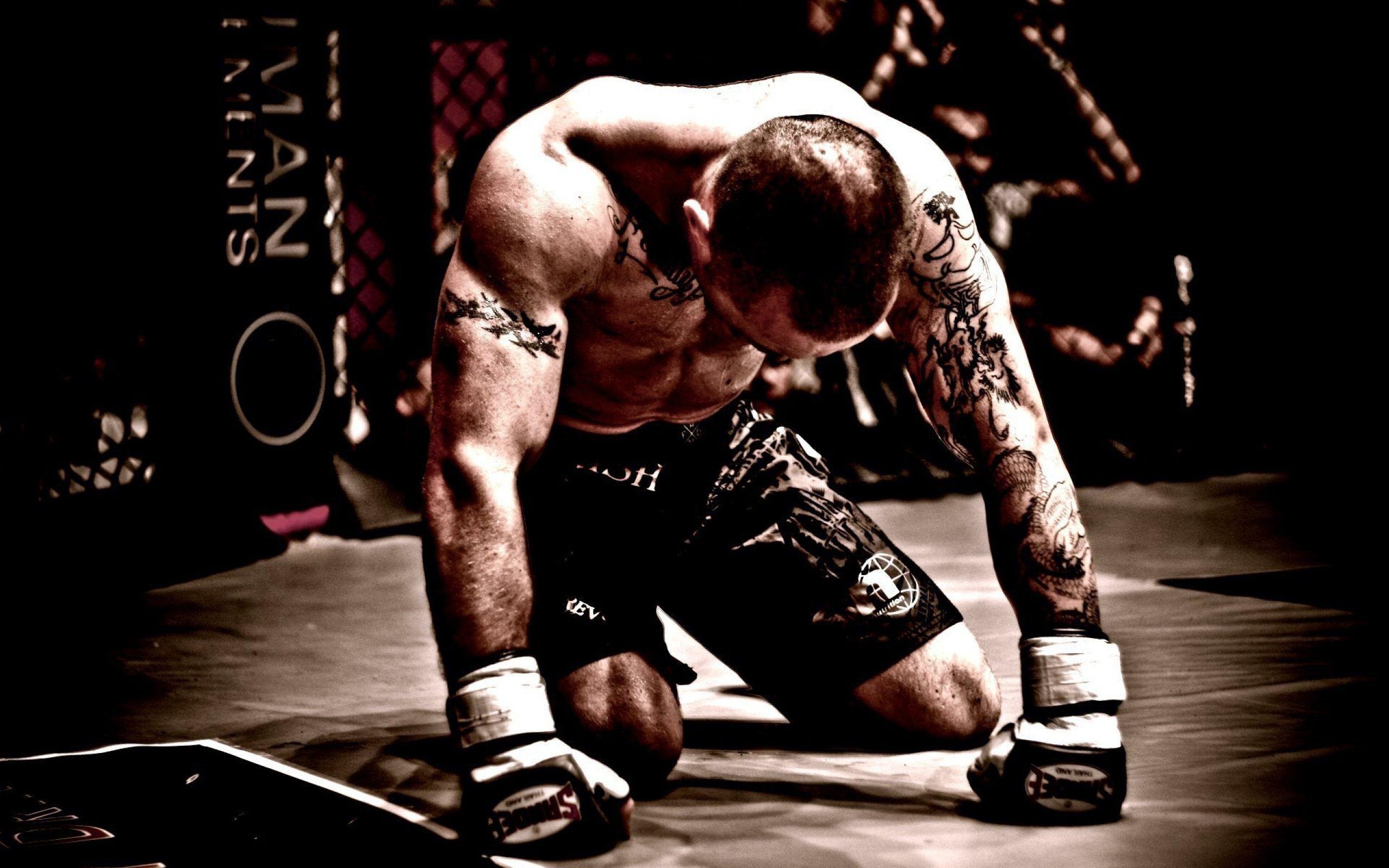 MMA, Fighter, Boxen, Kämpfer, Sport, 2560x1600 HD Desktop