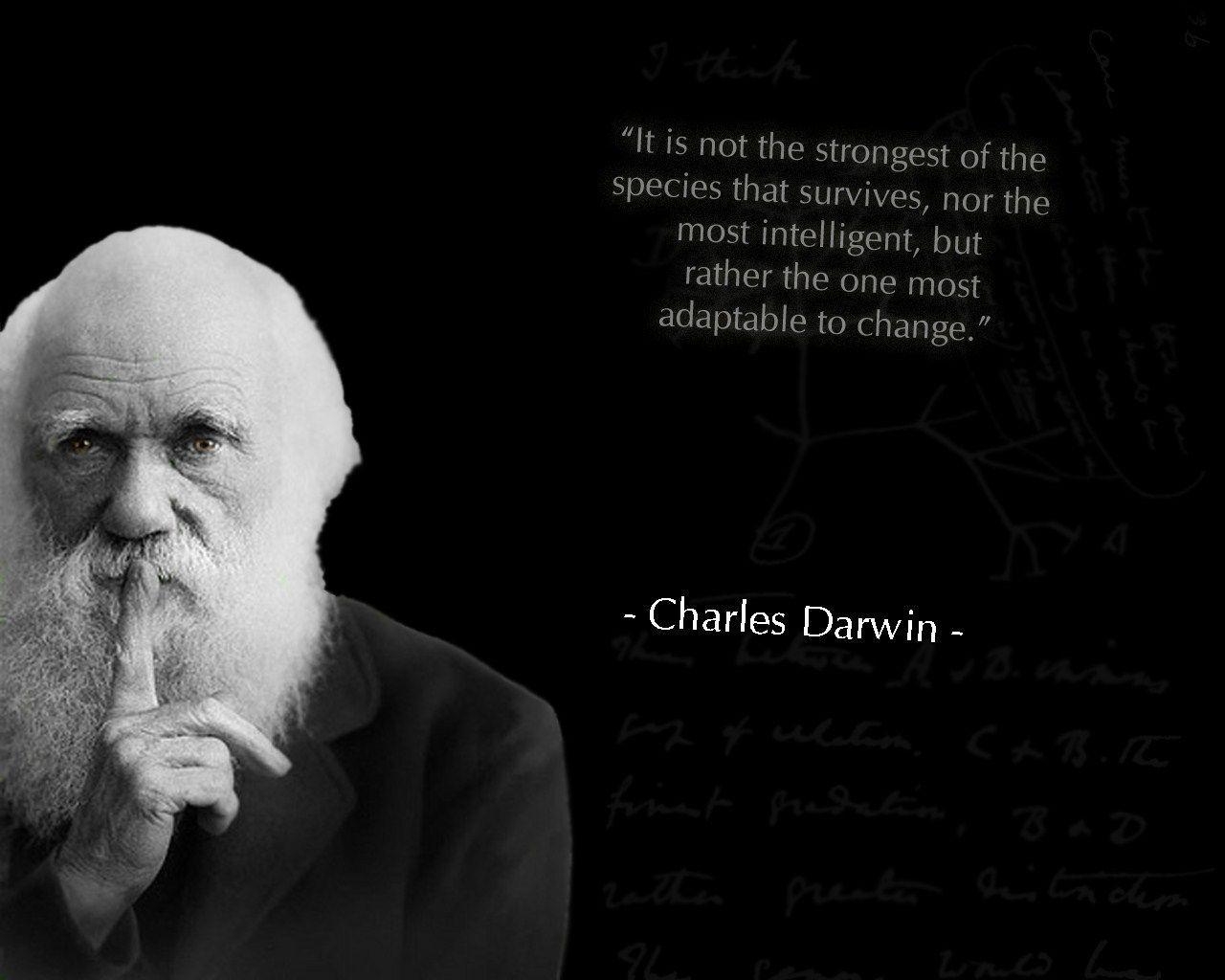 Charles Darwin, Tapete, Gelehrter, Wissenschaft, Entdecker, 1280x1030 HD Desktop