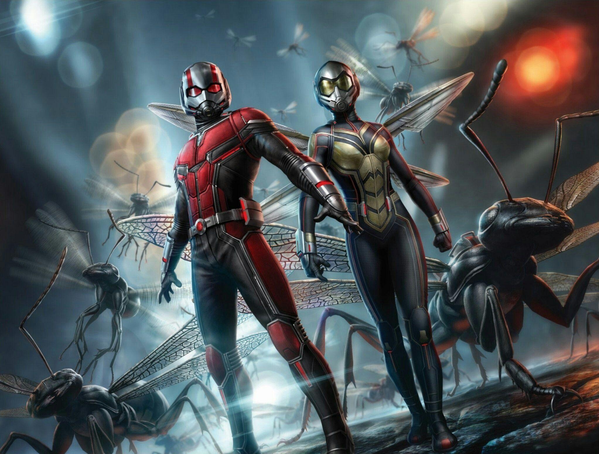 Ant Man, Wasp, Bild, Nerd, Aktuell, 2050x1560 HD Desktop