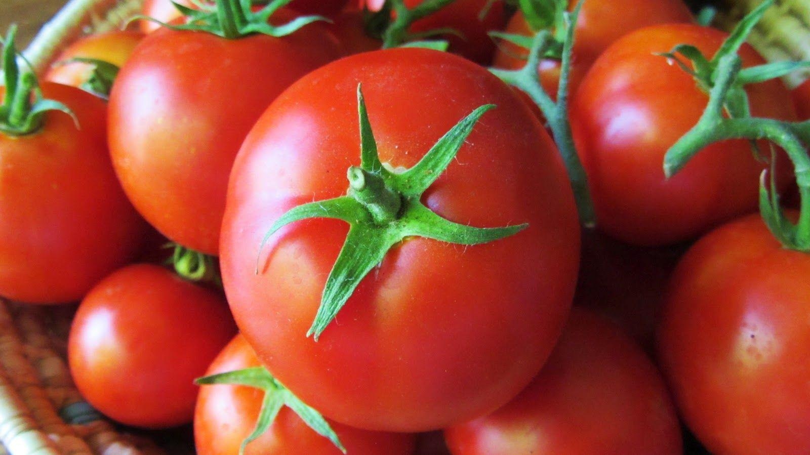 Tomate, Essen, Hintergrund, Bild, Lebensmittel, 1600x900 HD Desktop