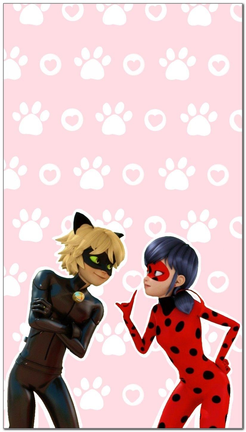 Ladybug, Cat Noir, Animation, iPhone, Kunst, 830x1450 HD Handy