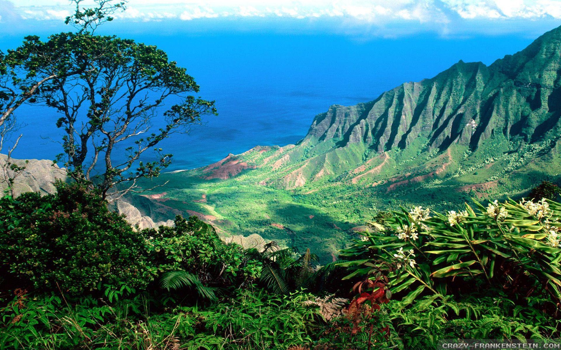 Hawaii, Reisen, Bild, Inseln, Natur, 1920x1200 HD Desktop