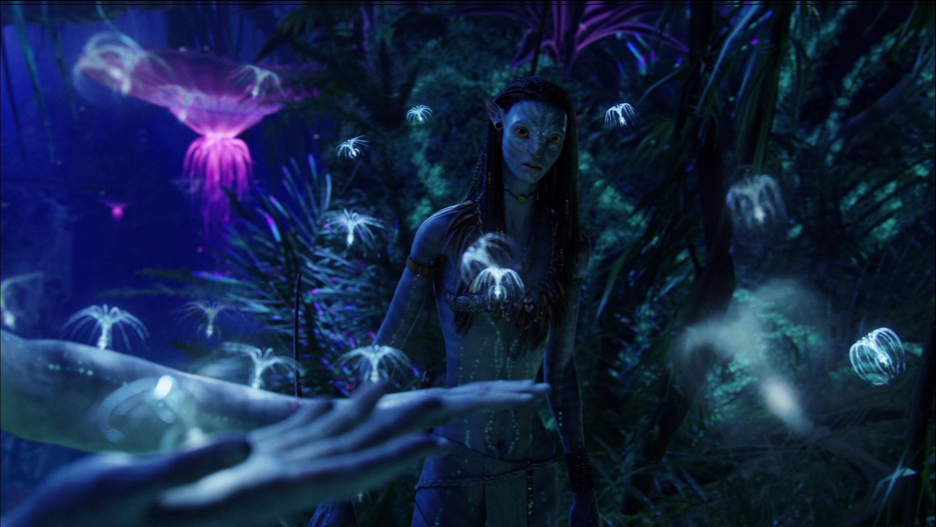 Avatar, HD, 1080p, Kino, Fantasie, 1920x1080 Full HD Desktop