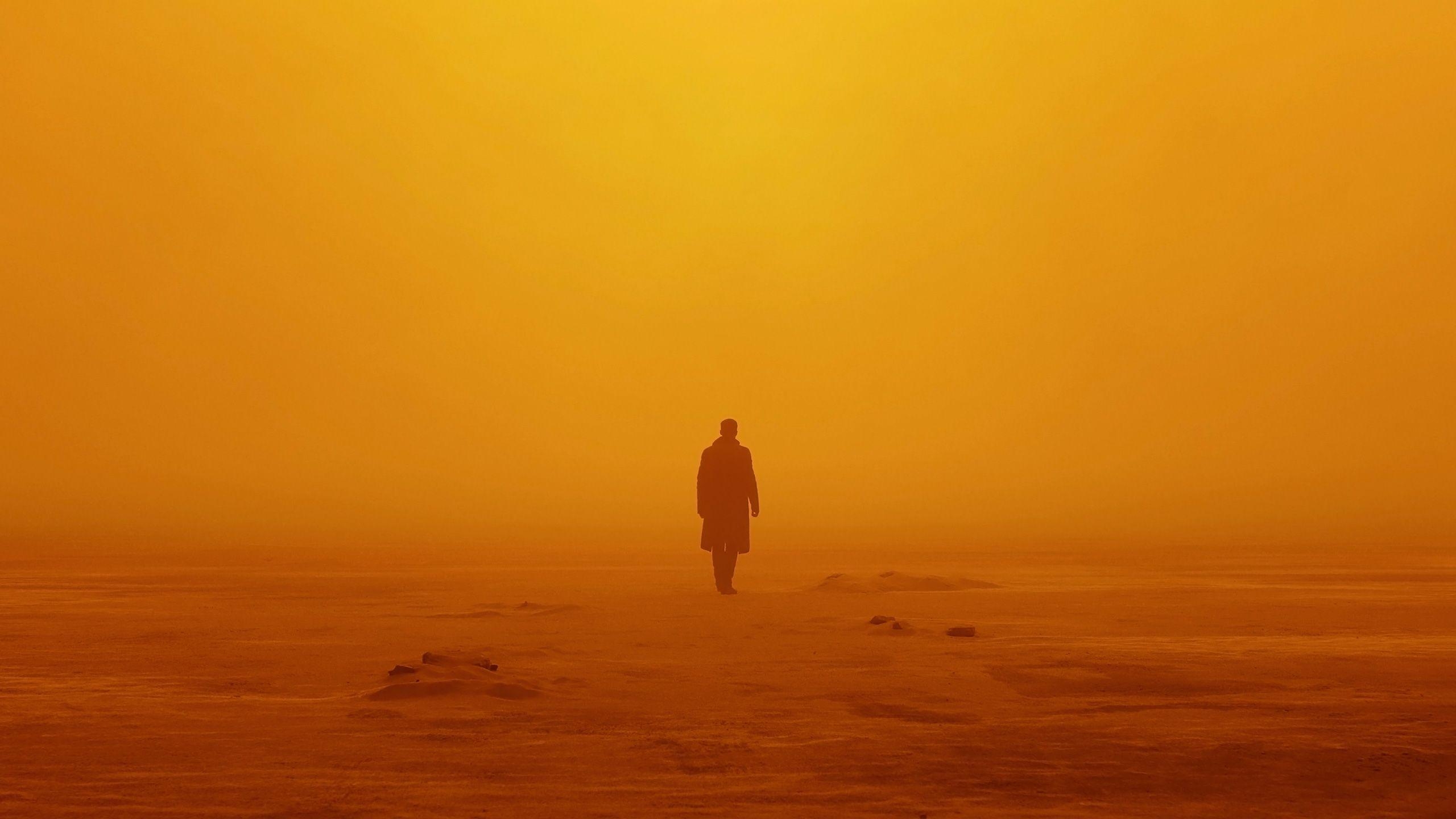 Blade Runner 2049, Officer K, HD, Kinofilm, Bild, 2560x1440 HD Desktop