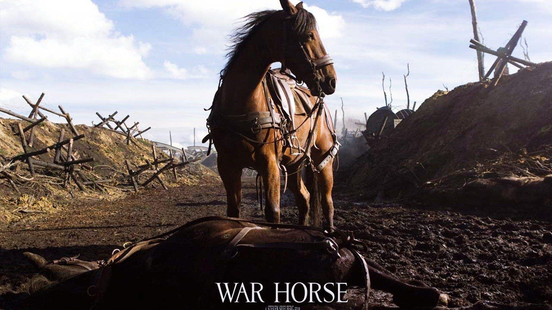 War Horse, Film, Pferd, Kriegsdrama, Kino, 1920x1080 Full HD Desktop