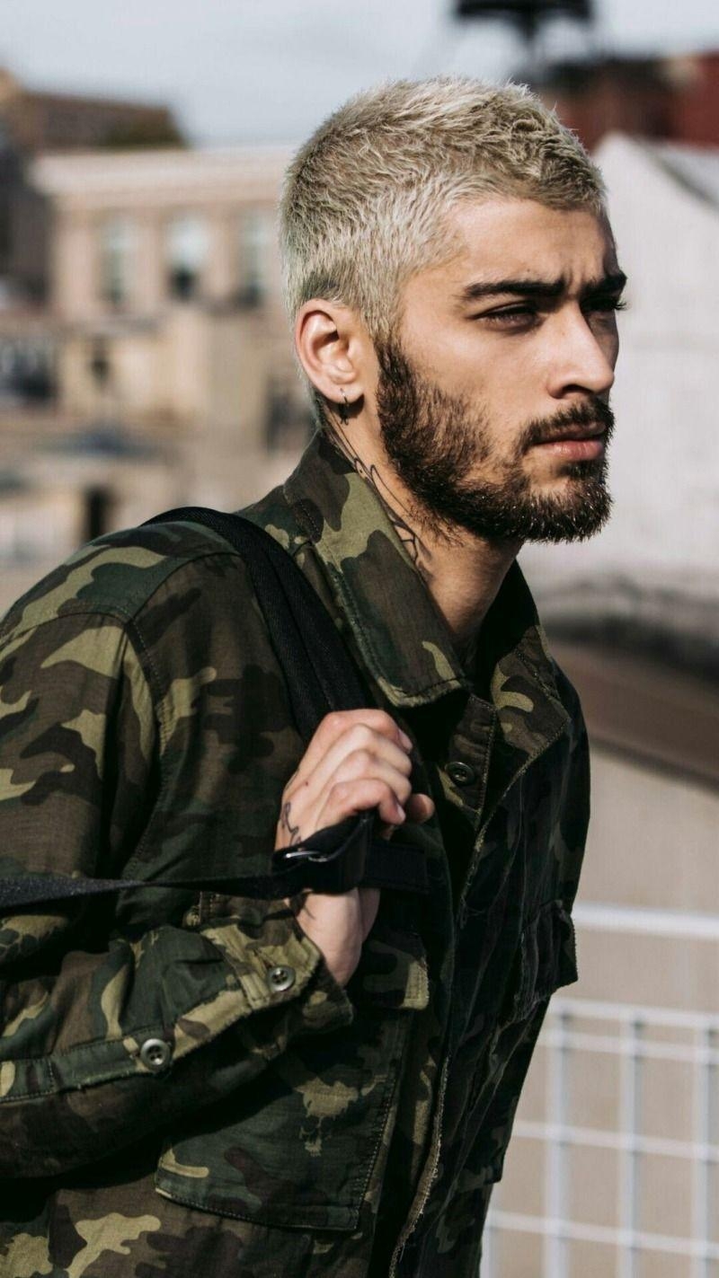 Zayn Malik, Wandbild, Musik, Künstler, Bild, 800x1430 HD Handy