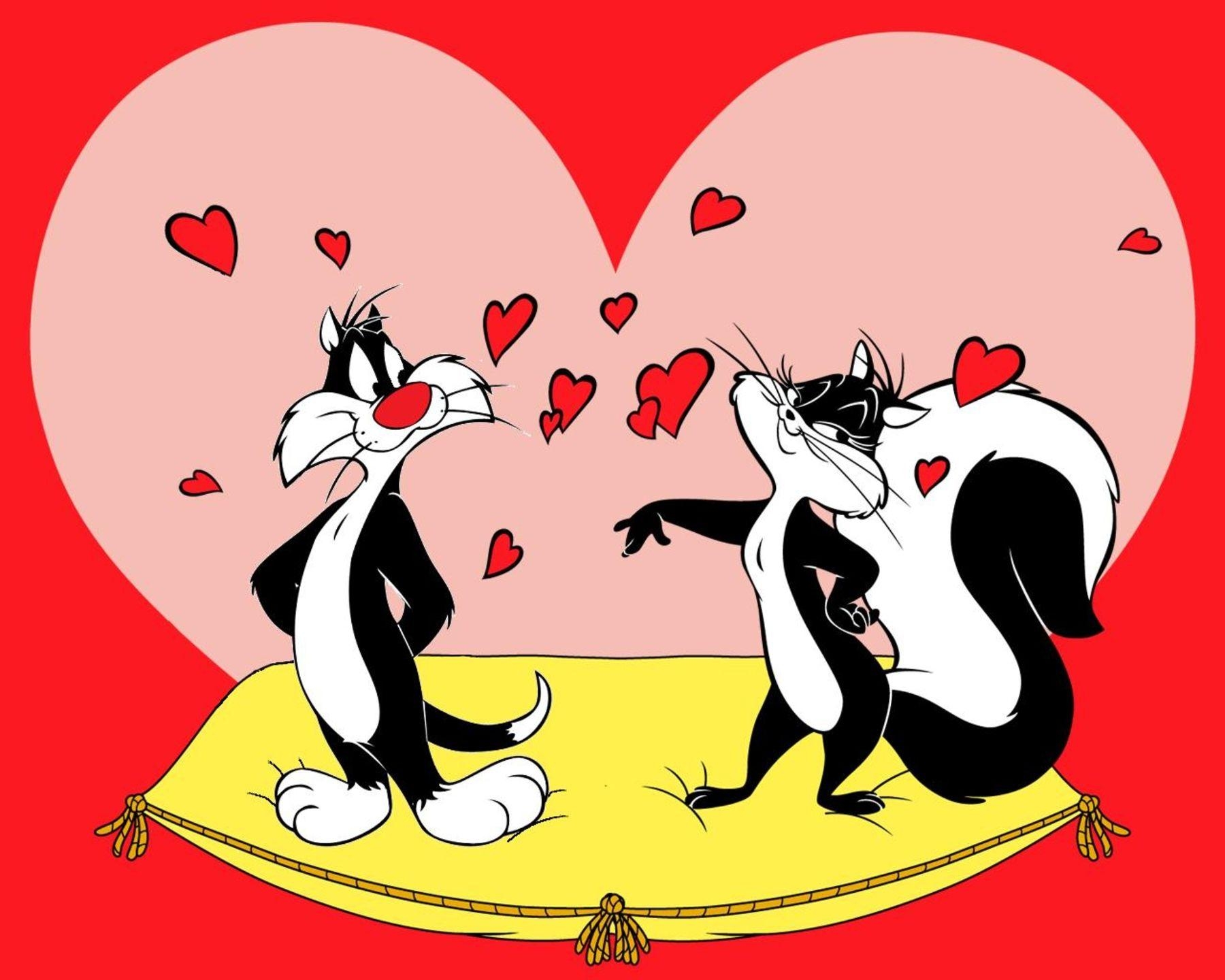 Sylvester Katze, Looney Tunes, HD, Desktop, Mobil, 1800x1440 HD Desktop