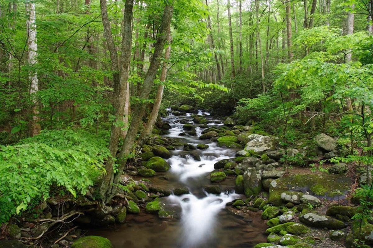 Great Smoky Mountains, Nationalpark, Natur, Wandmalerei, Landschaftsmalerei, 1200x800 HD Desktop