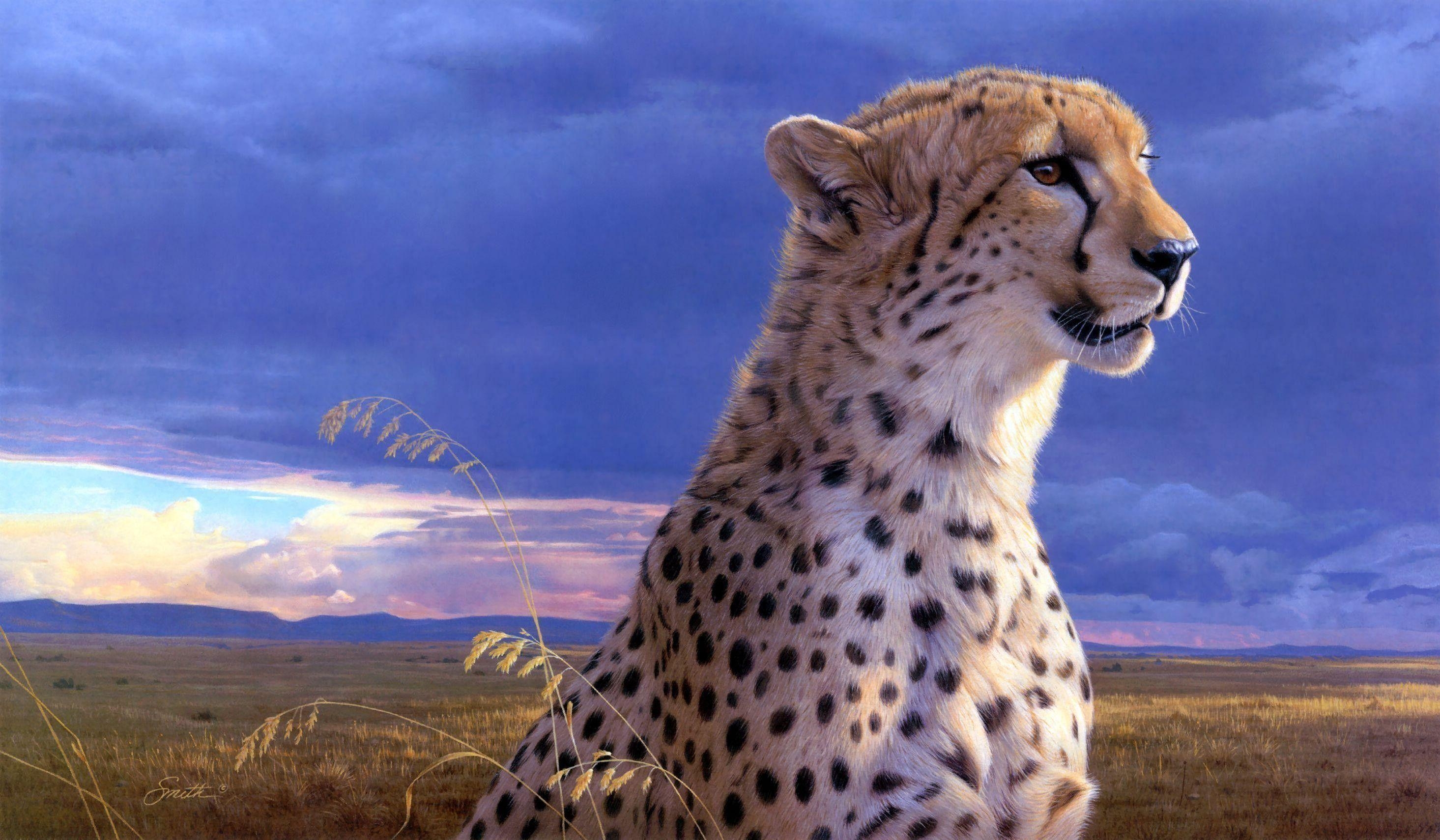 Gepard, Hintergrund, Afrika, Wild, Katze, 2930x1710 HD Desktop