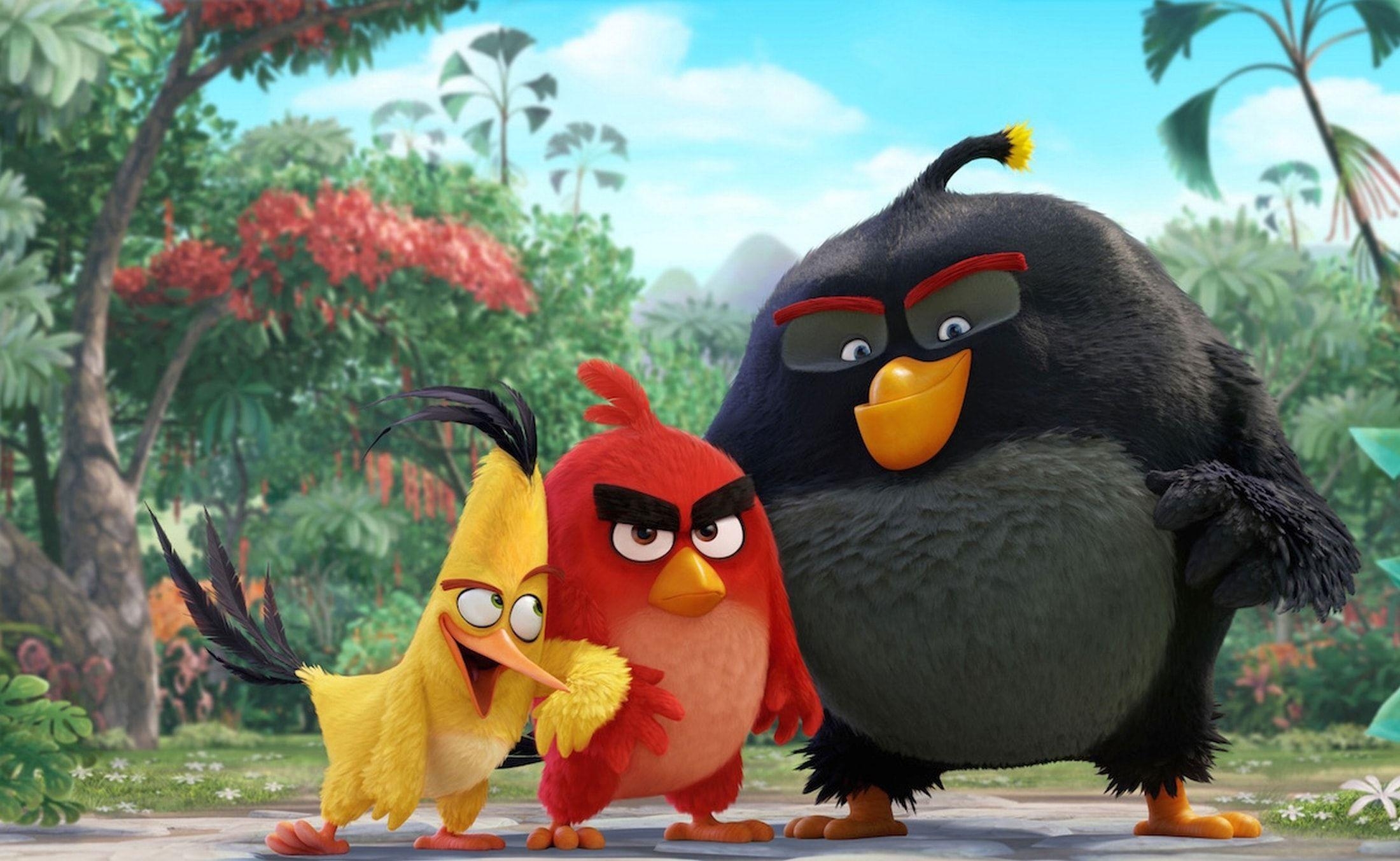 Angry Birds, Der Film, HD, Hintergrund, Bild, 2200x1360 HD Desktop