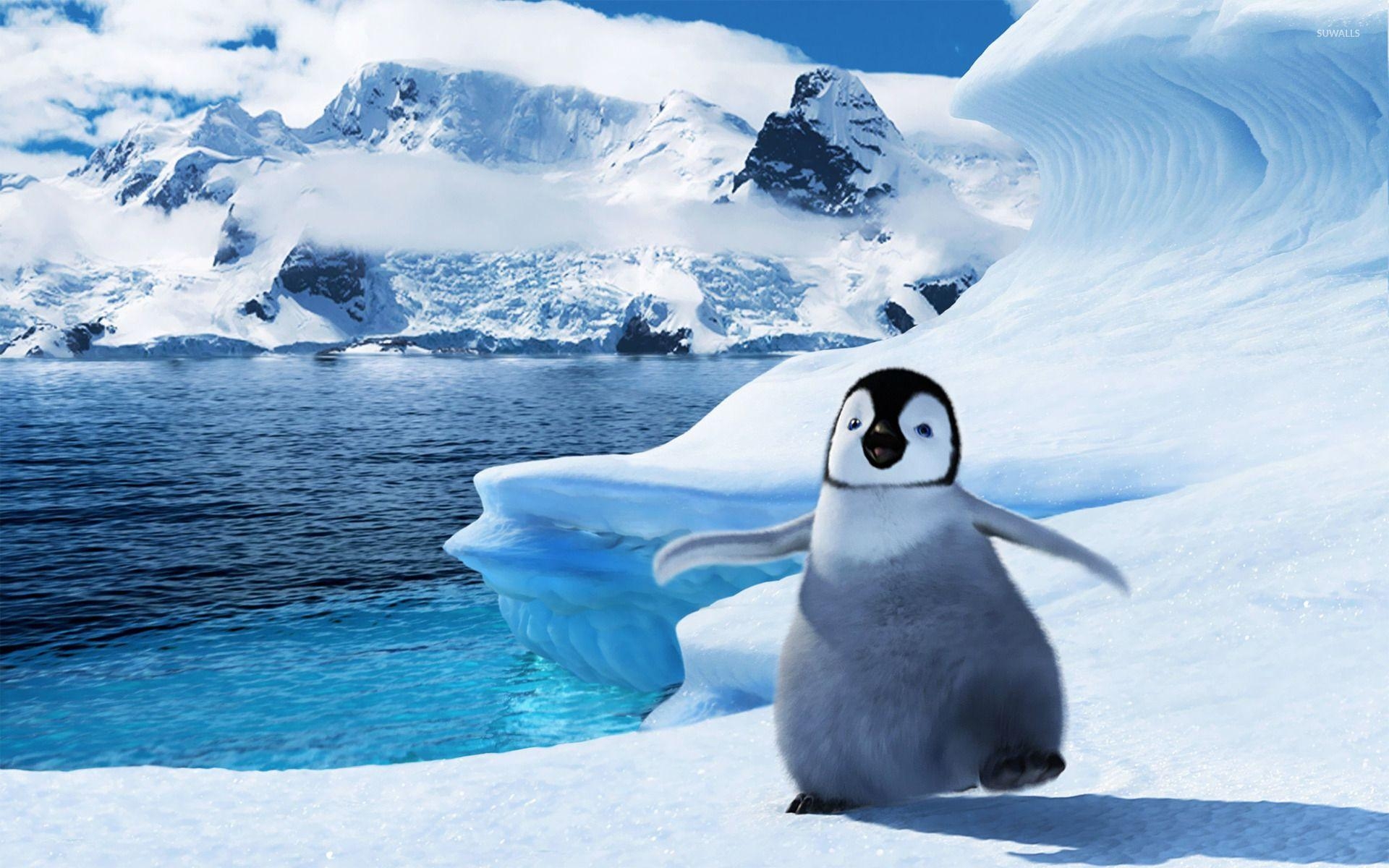 Happy Feet, Cartoon, Teil 3, Animation, Film, 1920x1200 HD Desktop