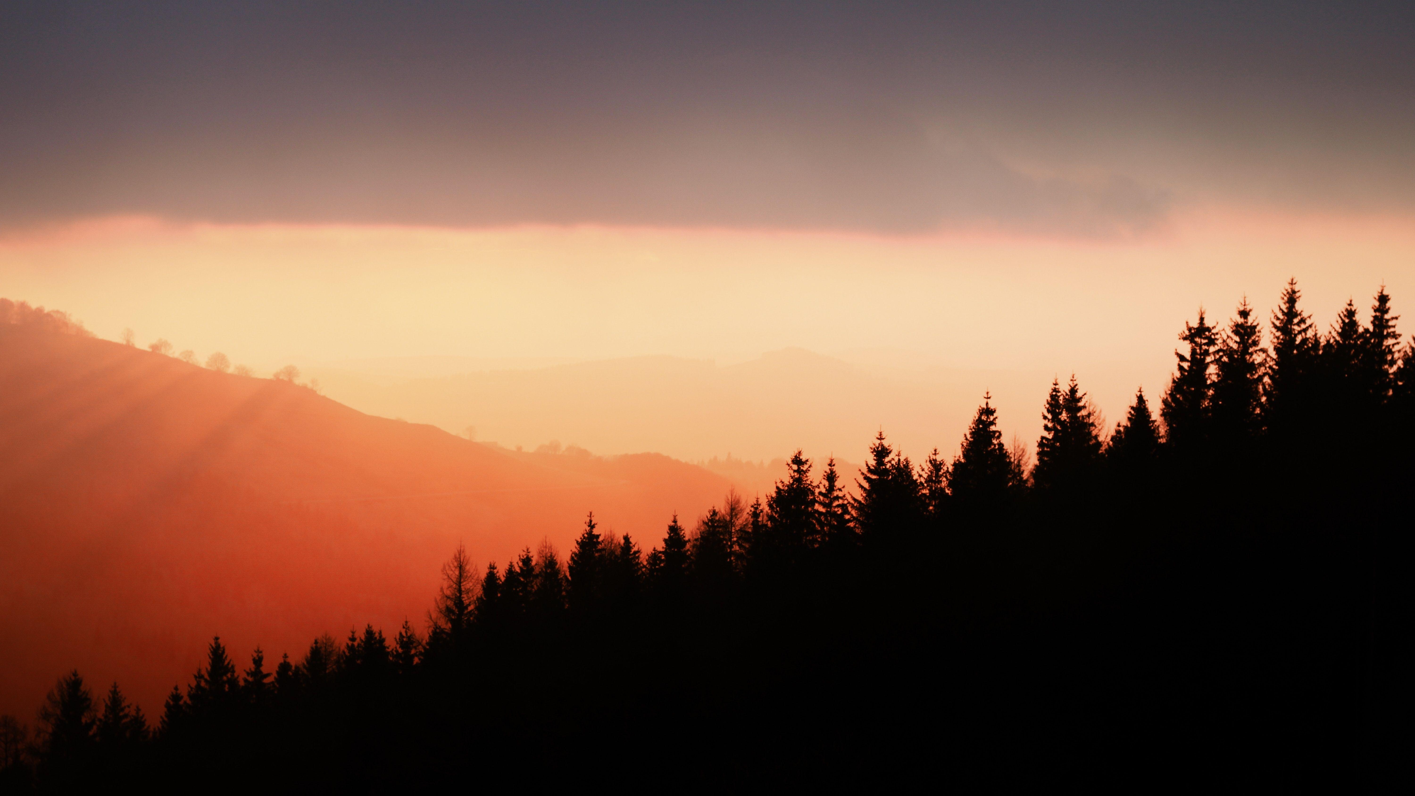 Pflanze, Himmel, Cantal, Tanne, Frankreich, 6000x3380 4K Desktop