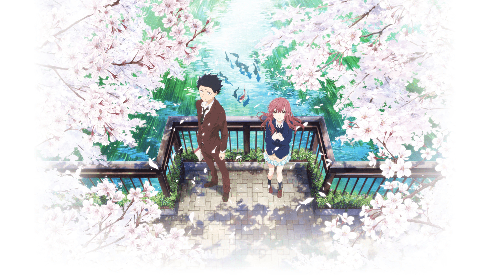 Koe no Katachi, HD, Hintergrund, Anime, Drama, 1920x1080 Full HD Desktop