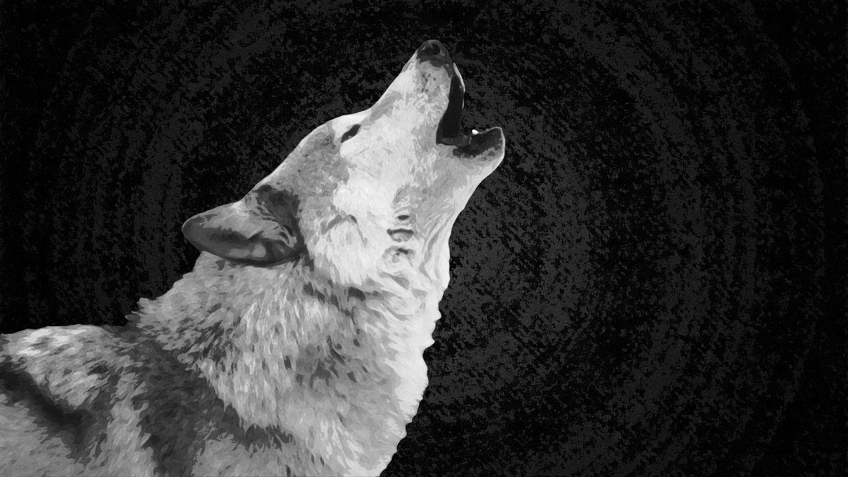 Wolf, weiß, Hintergrund, Reinheit, Tier, 1200x670 HD Desktop