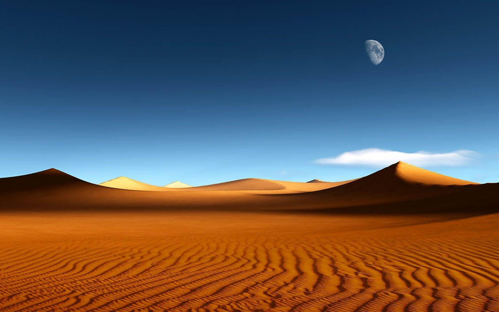 Wüste, Natur, Sand, Landschaft, Trockenheit, 1600x1000 HD Desktop