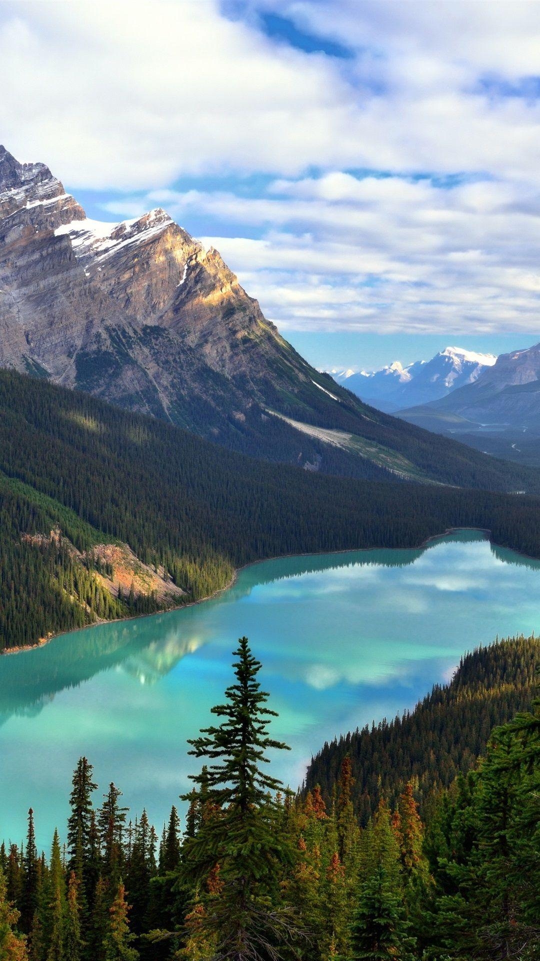 Banff Nationalpark, Kanada, Alberta, Mount Patterson, Peyto, 1080x1920 Full HD Handy