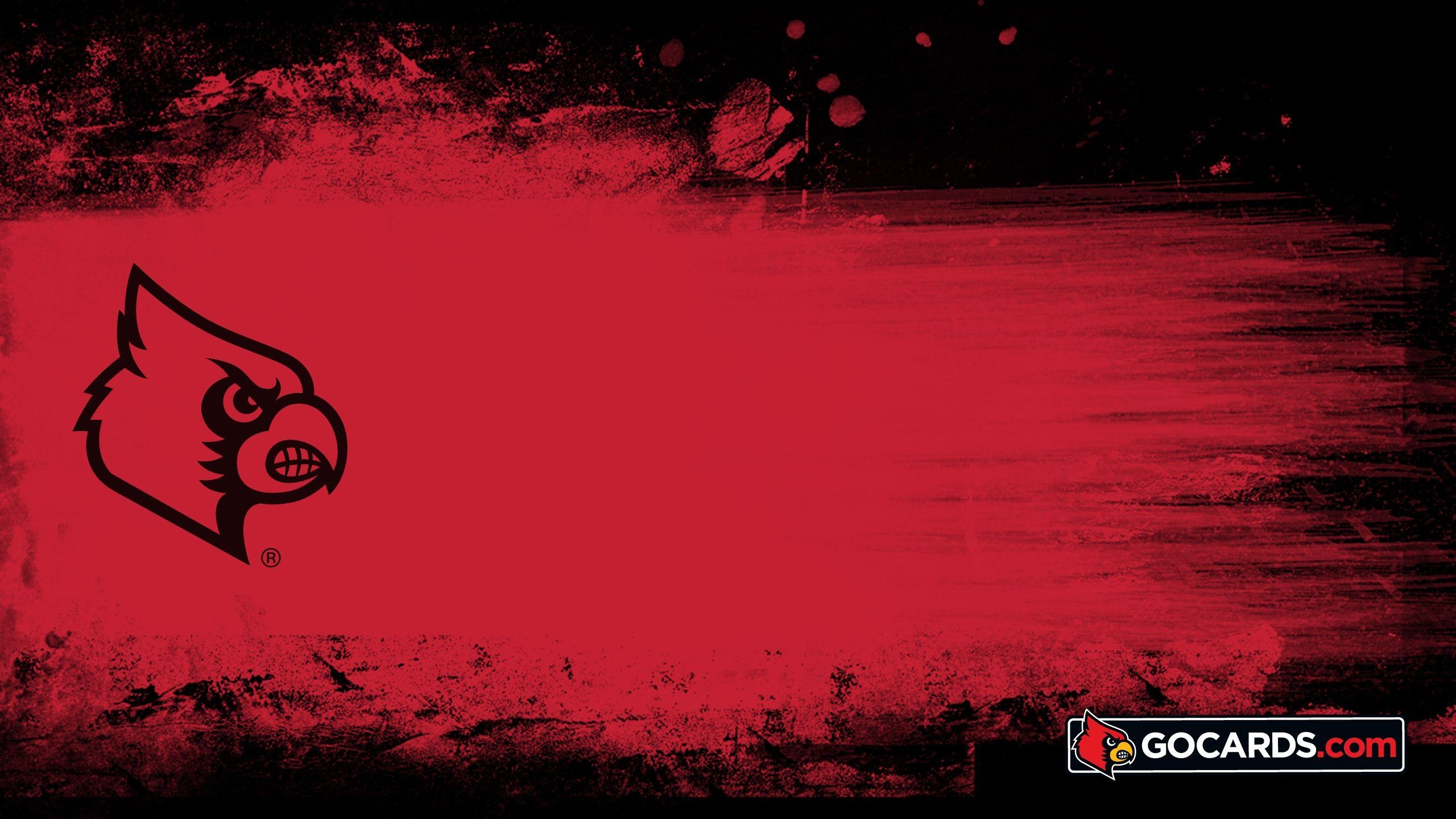 Louisville Athletics, Sport, Hintergrund, Aktivität, Rot, 2560x1440 HD Desktop