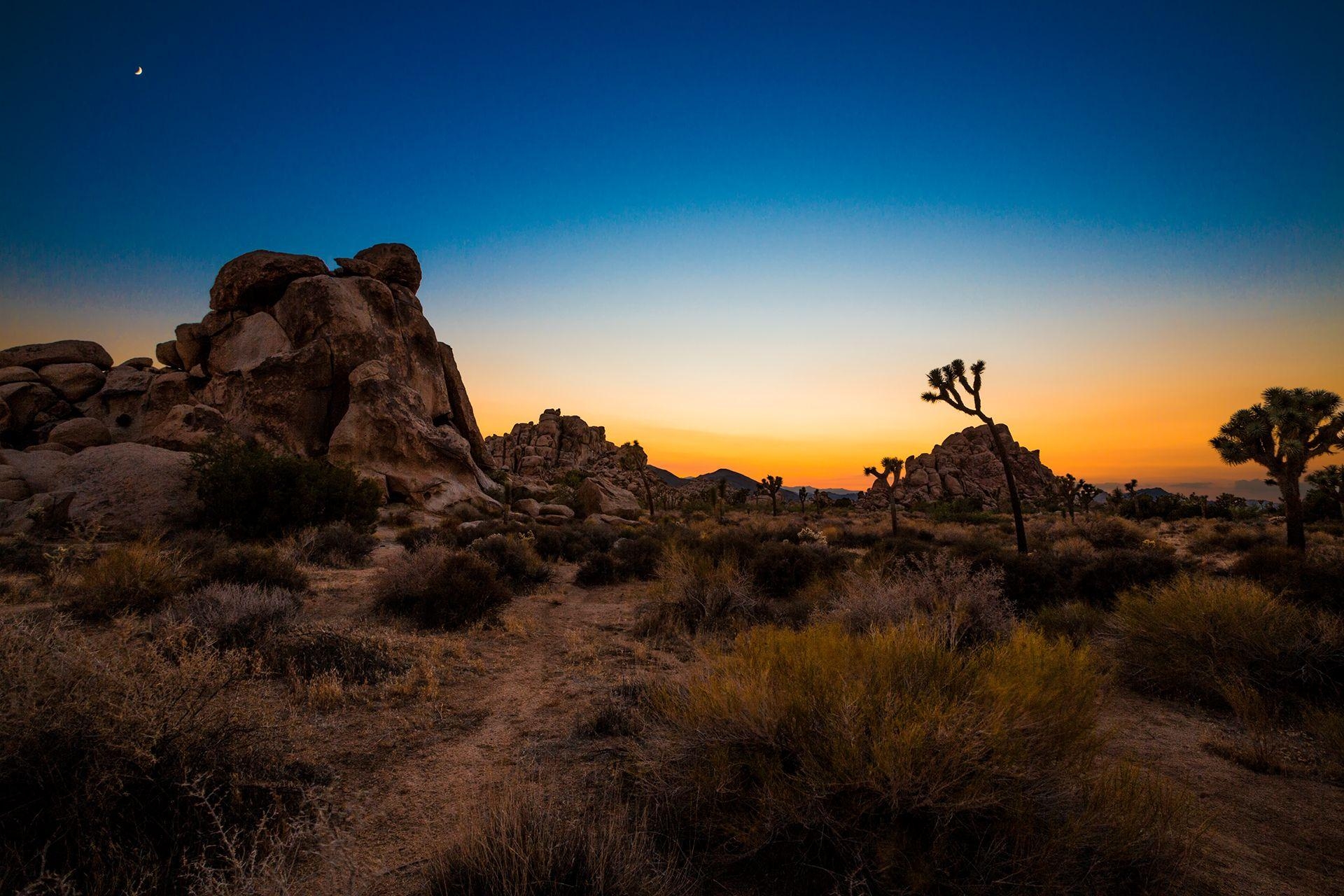 Bezaubernd, Joshua Tree, Landschaft, Kalifornien, Natur, 1920x1280 HD Desktop