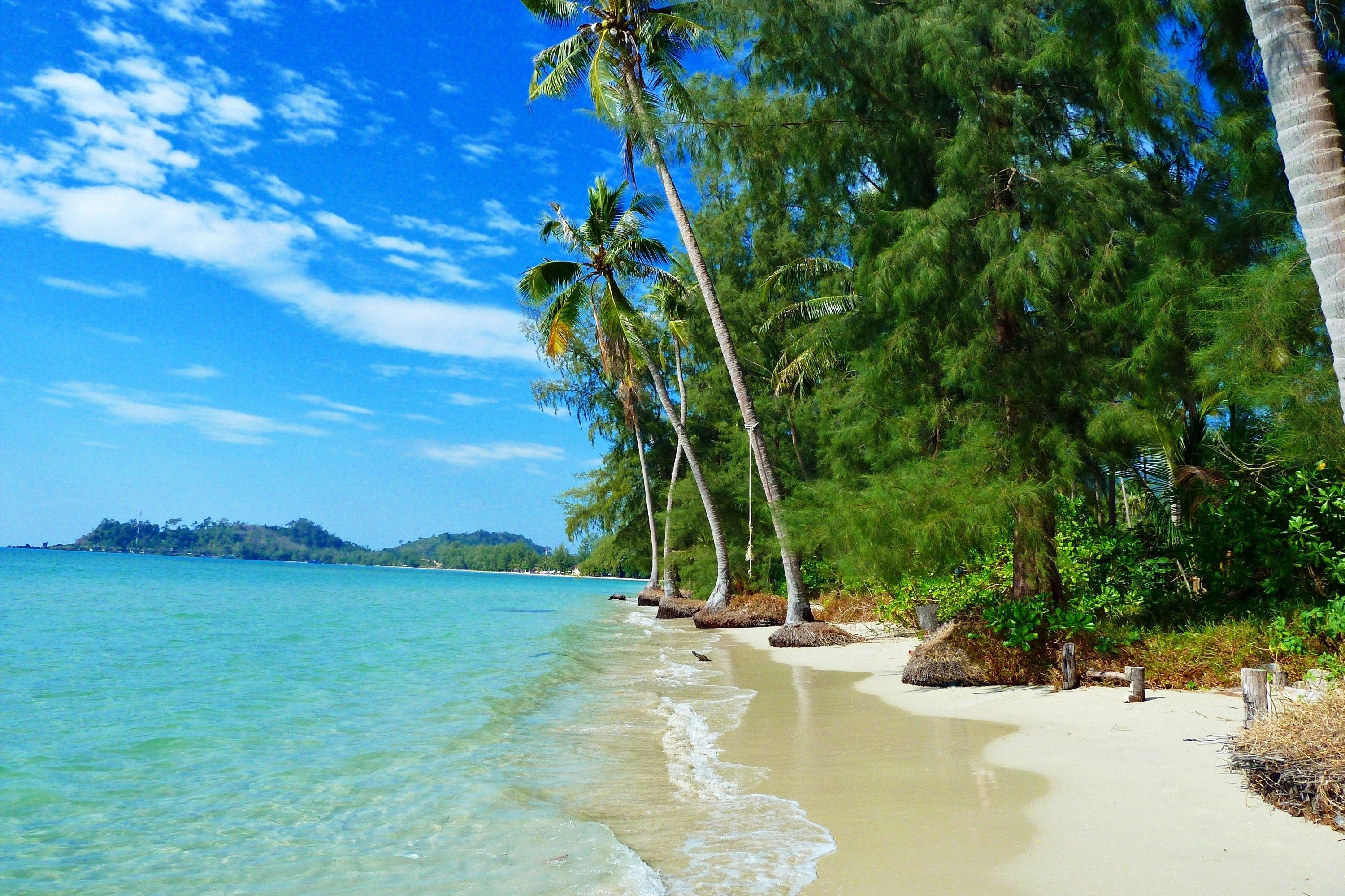 Phrasong Beach, Palmen, Paradies, Thailand, Sand, 3000x2000 HD Desktop