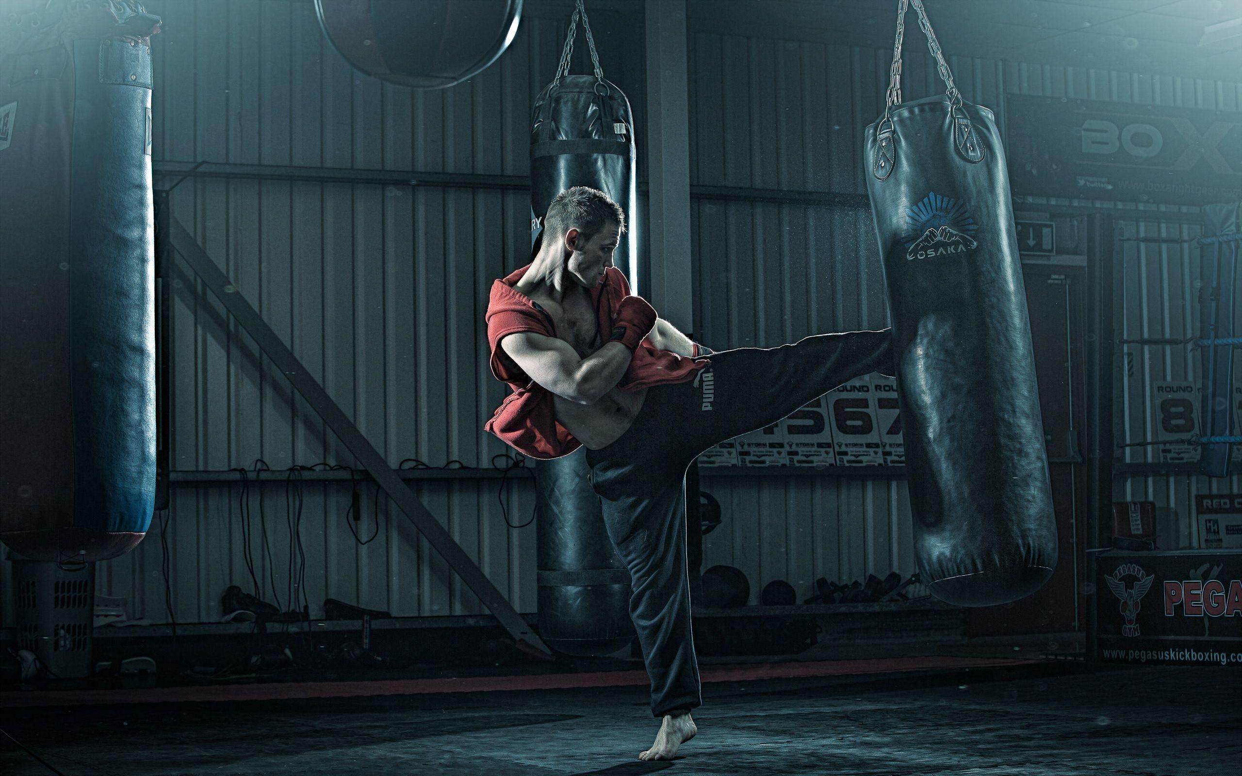 Kickboxen, Männer, Sport, Kampf, Fitness, 2560x1600 HD Desktop