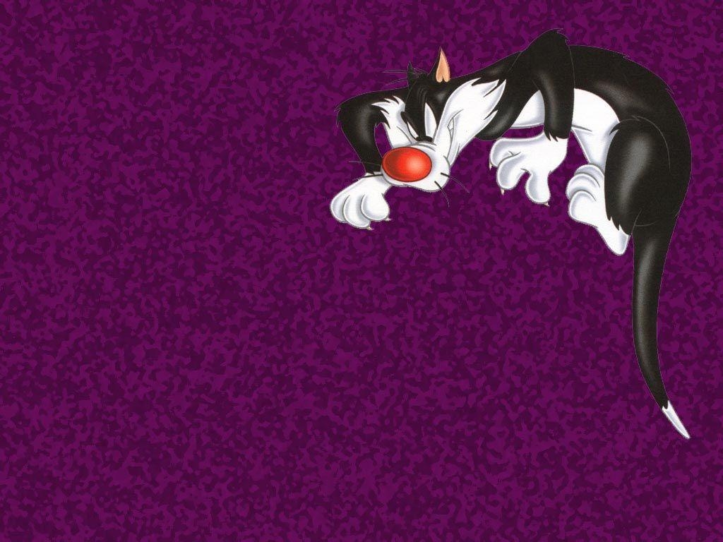 Sylvester der Kater, Cartoon, Looney Tunes, Hintergrund, Bild, 1030x770 HD Desktop