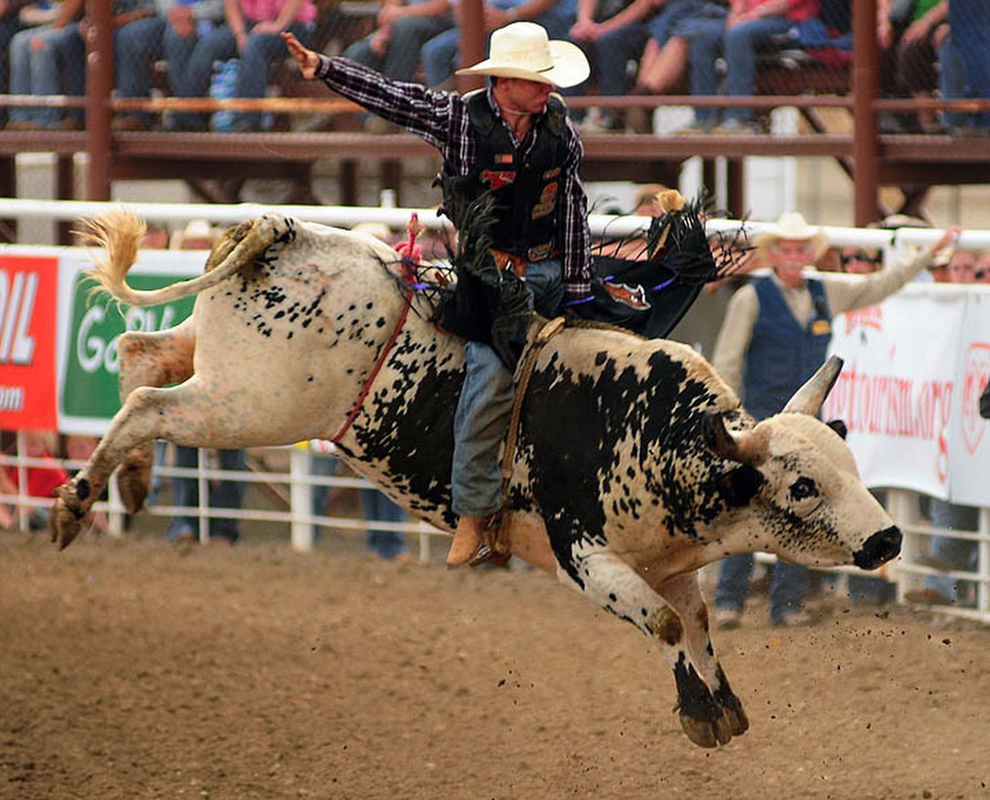 Hochwertige Rodeo, Full HD, Cowboy, Bilder, Landwirtschaft, 2000x1620 HD Desktop