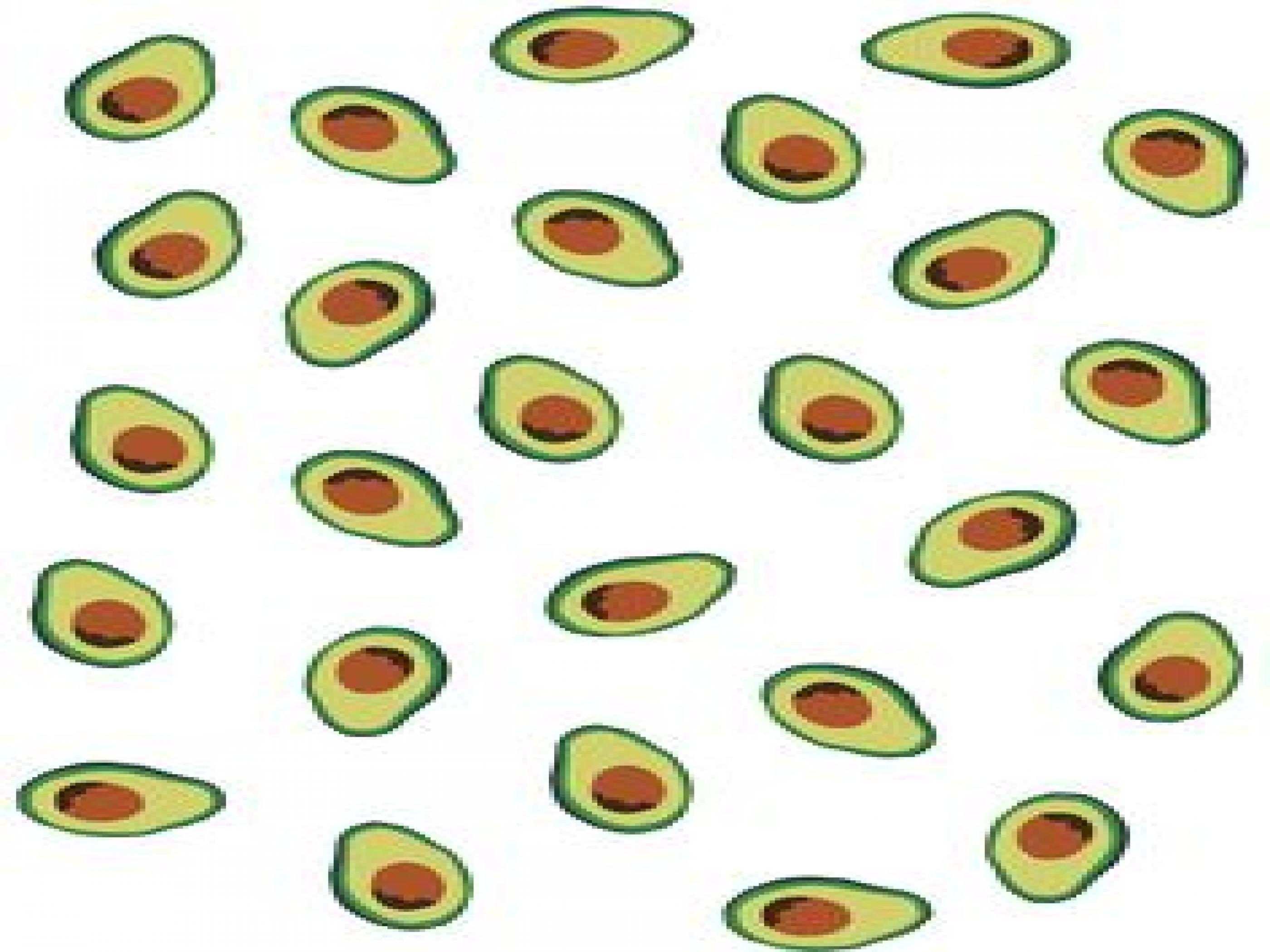 Avocado, HD, Hintergrund, Grün, Obst, 2800x2100 HD Desktop