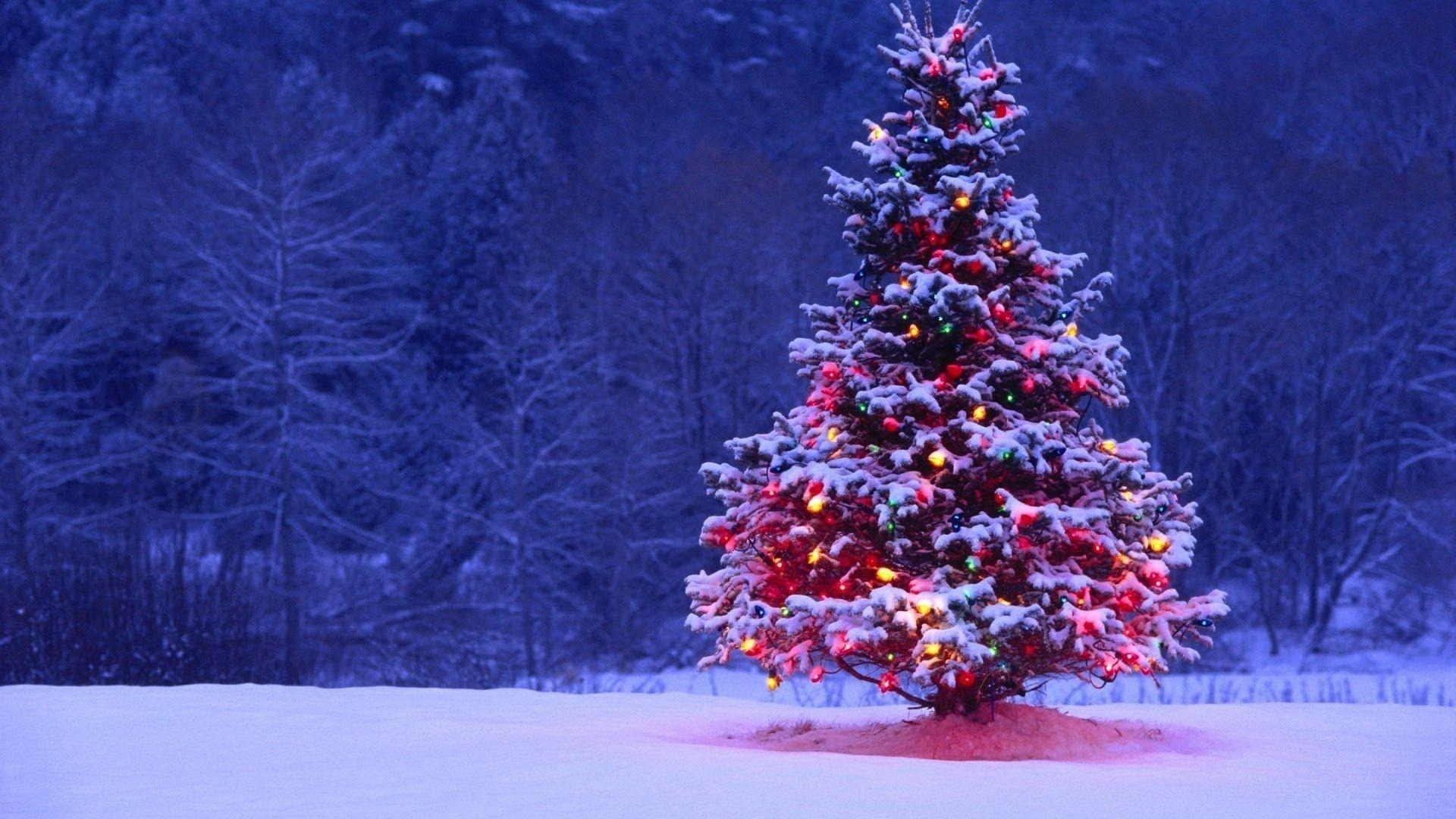 Weihnachten, iPhone, Baum, App, Hintergrund, 1920x1080 Full HD Desktop