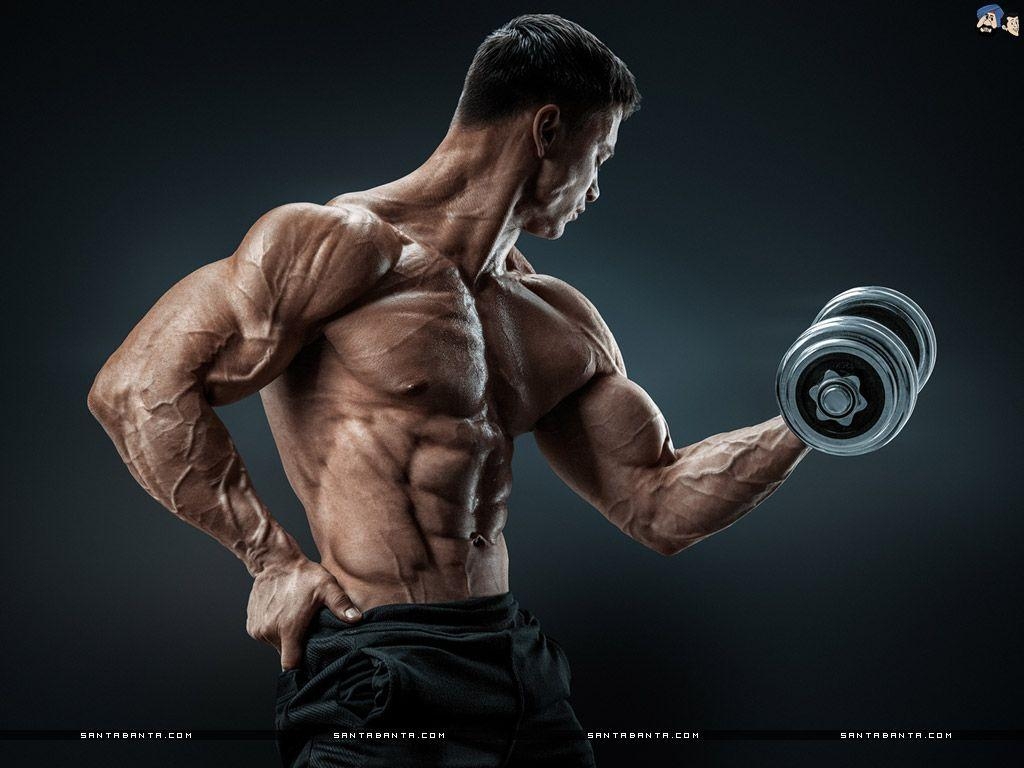 Bodybuilding, Fitness, Muskeln, Sport, Motivation, 1030x770 HD Desktop