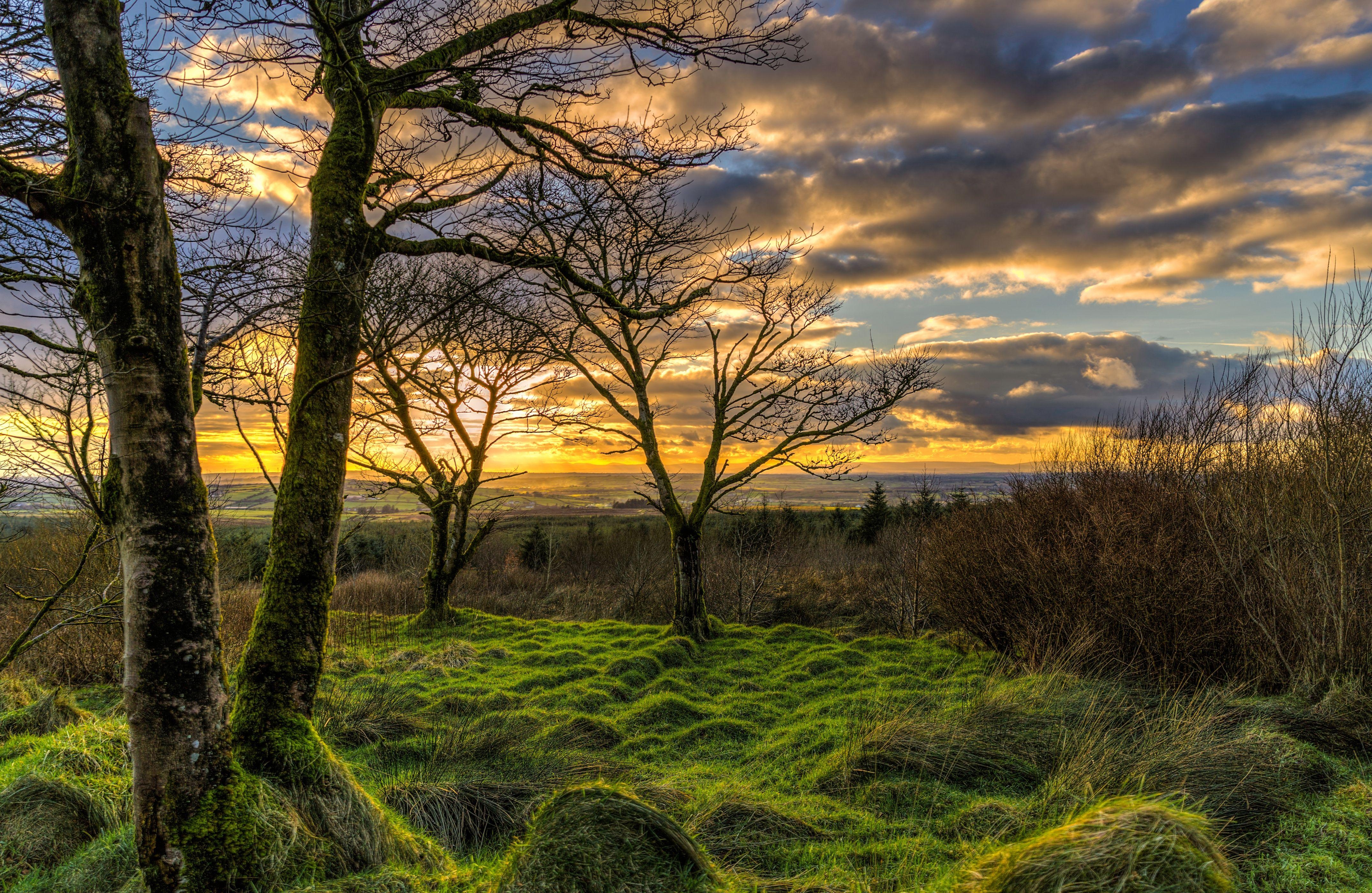 Toor, Nordirland, Natur, Vereinigtes Königreich, 4300x2800 4K Desktop