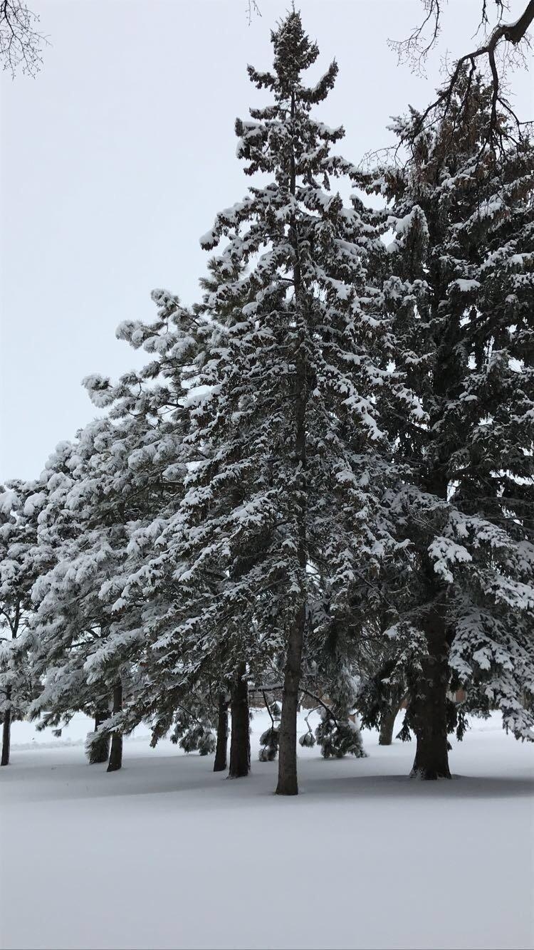 South Dakota, Natur, USA, Fotografie, Reiseziele, 750x1340 HD Handy