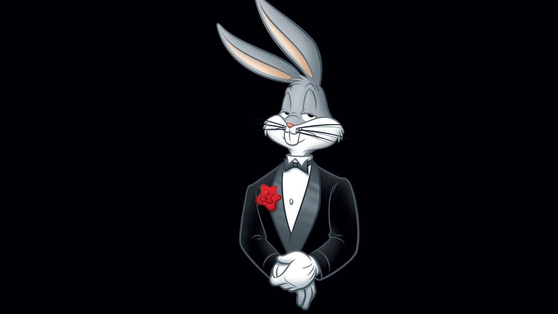 Bugs Bunny, Cartoons, HD Bild, Looney Tunes, Comics, 1920x1080 Full HD Desktop