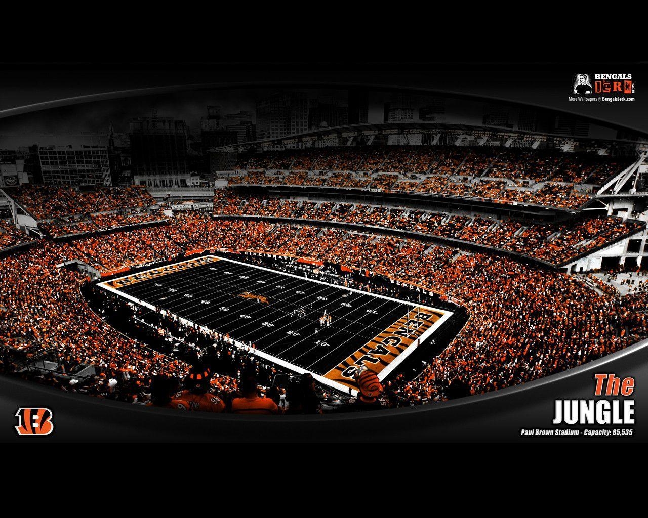 Cincinnati Bengals, Hintergrundbild, NFL, Amerikanisch, Fußball, 1280x1030 HD Desktop