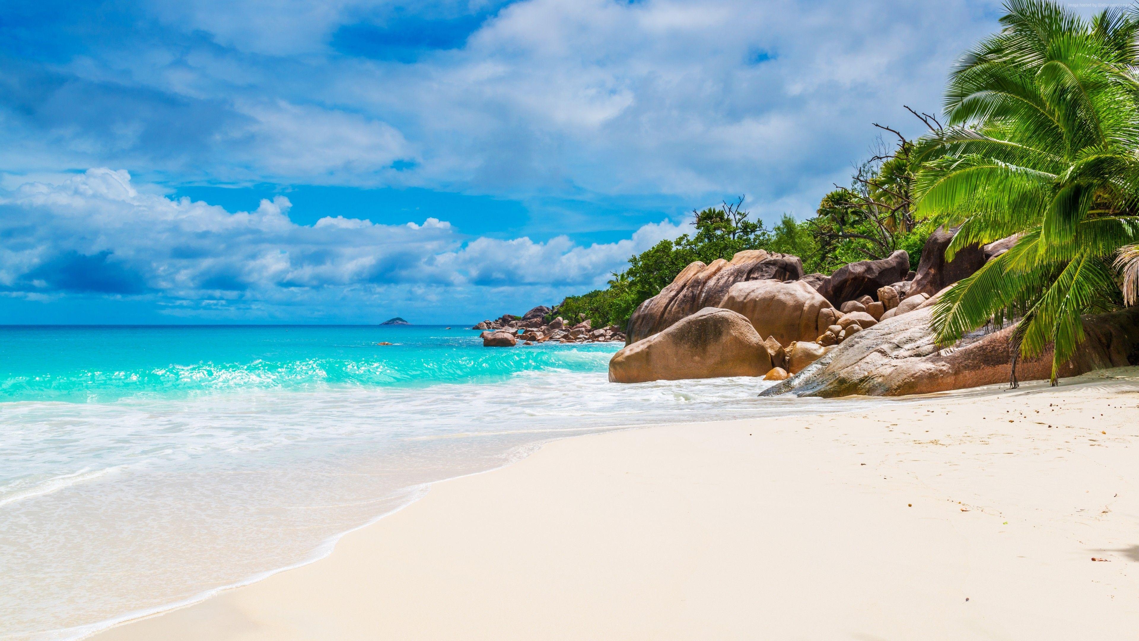 Maldives, Seychellen, Küste, Ozean, Palmen, 3840x2160 4K Desktop