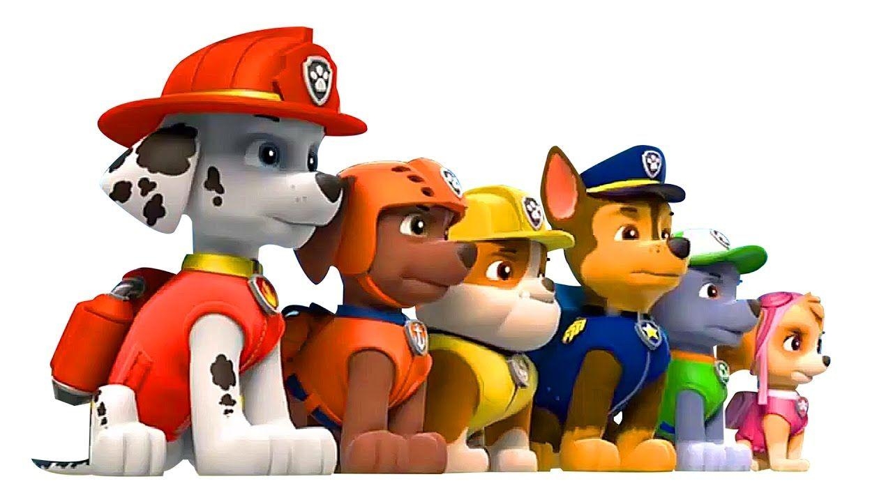 Paw Patrol, Welpen, Problem, Ryder, Abenteuer, 1280x720 HD Desktop