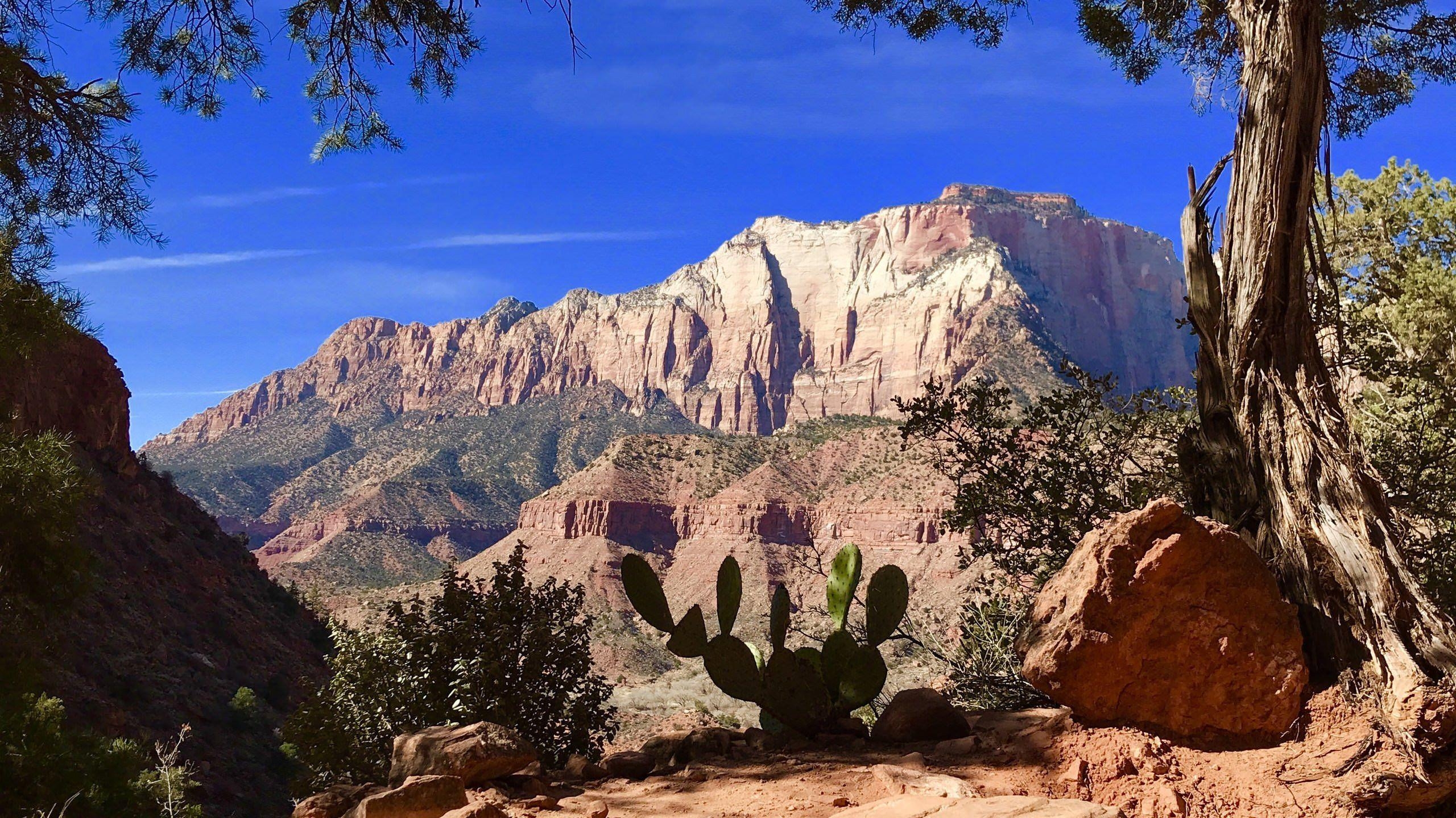 Zion Nationalpark, HD, Natur, Landschaft, USA, 2560x1440 HD Desktop