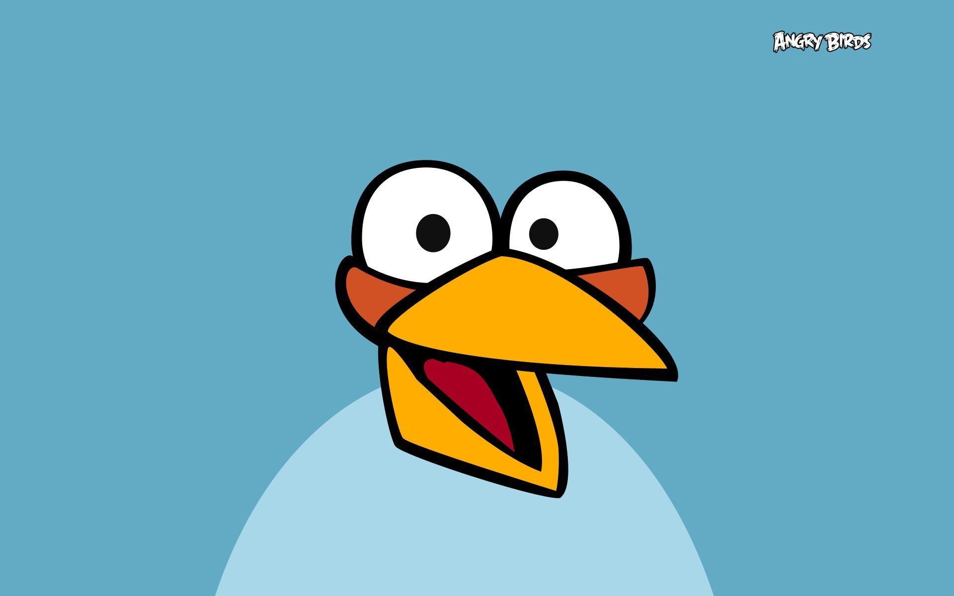 Blaue Vögel, Angry Birds, Hintergrund, HD, Bild, 1920x1200 HD Desktop