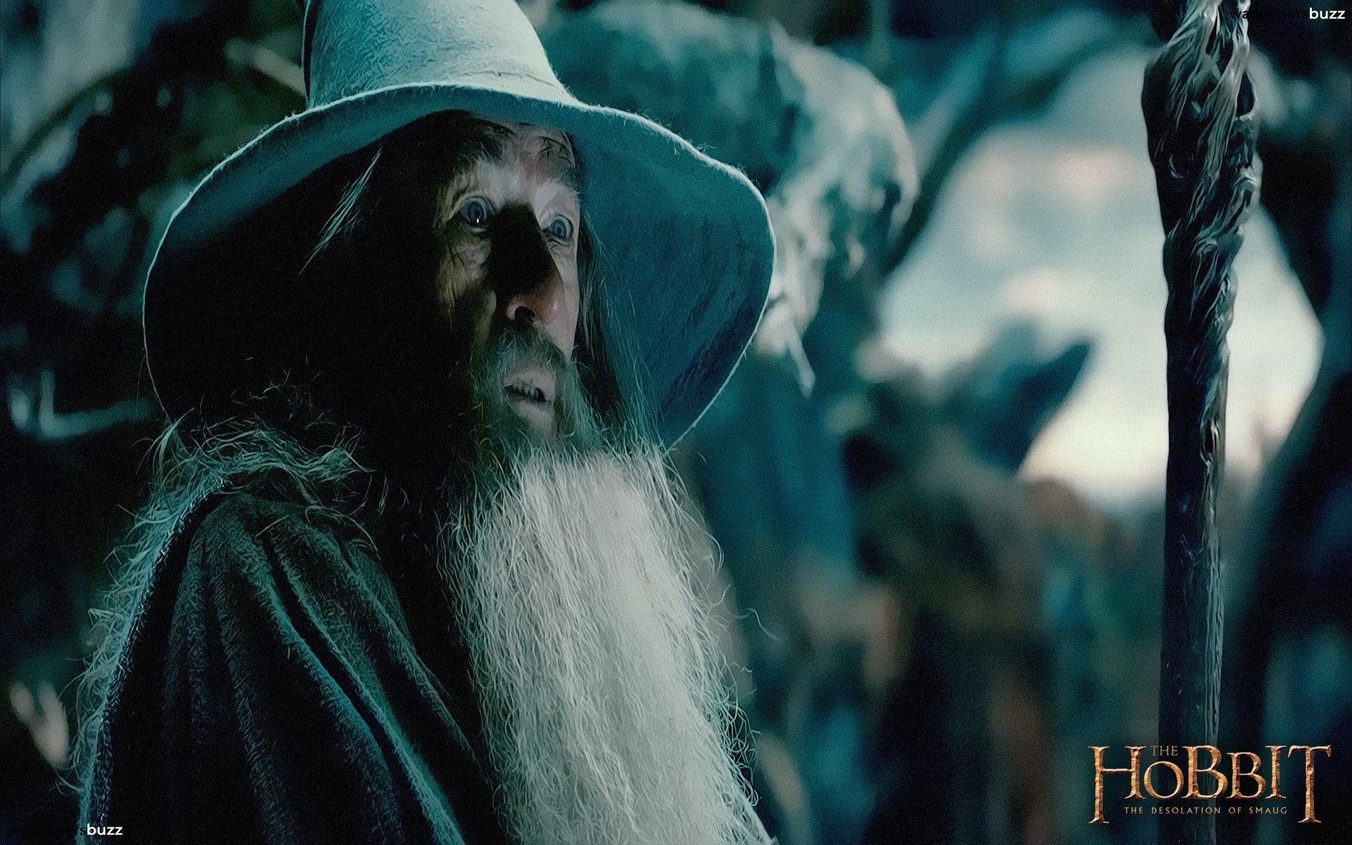 Gandalf, HD, Filmcharakter, Fantasywelt, Zauberer, 1920x1200 HD Desktop