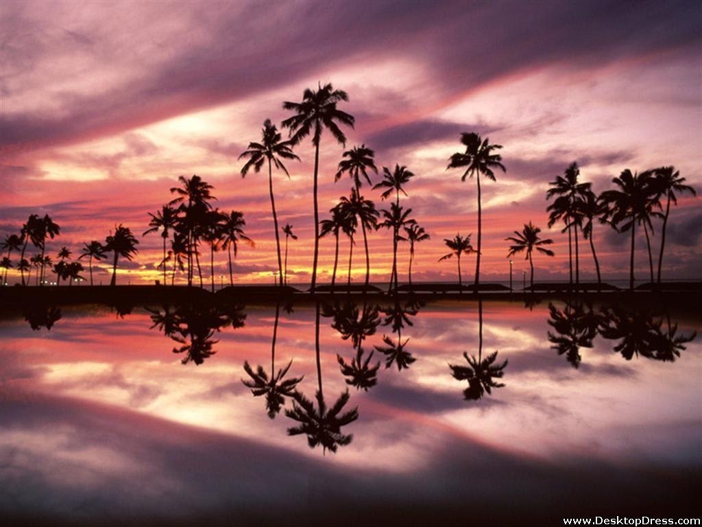 Oahu, Ala Moana Strand, Reisen, Hintergrund, Natur, 1030x770 HD Desktop