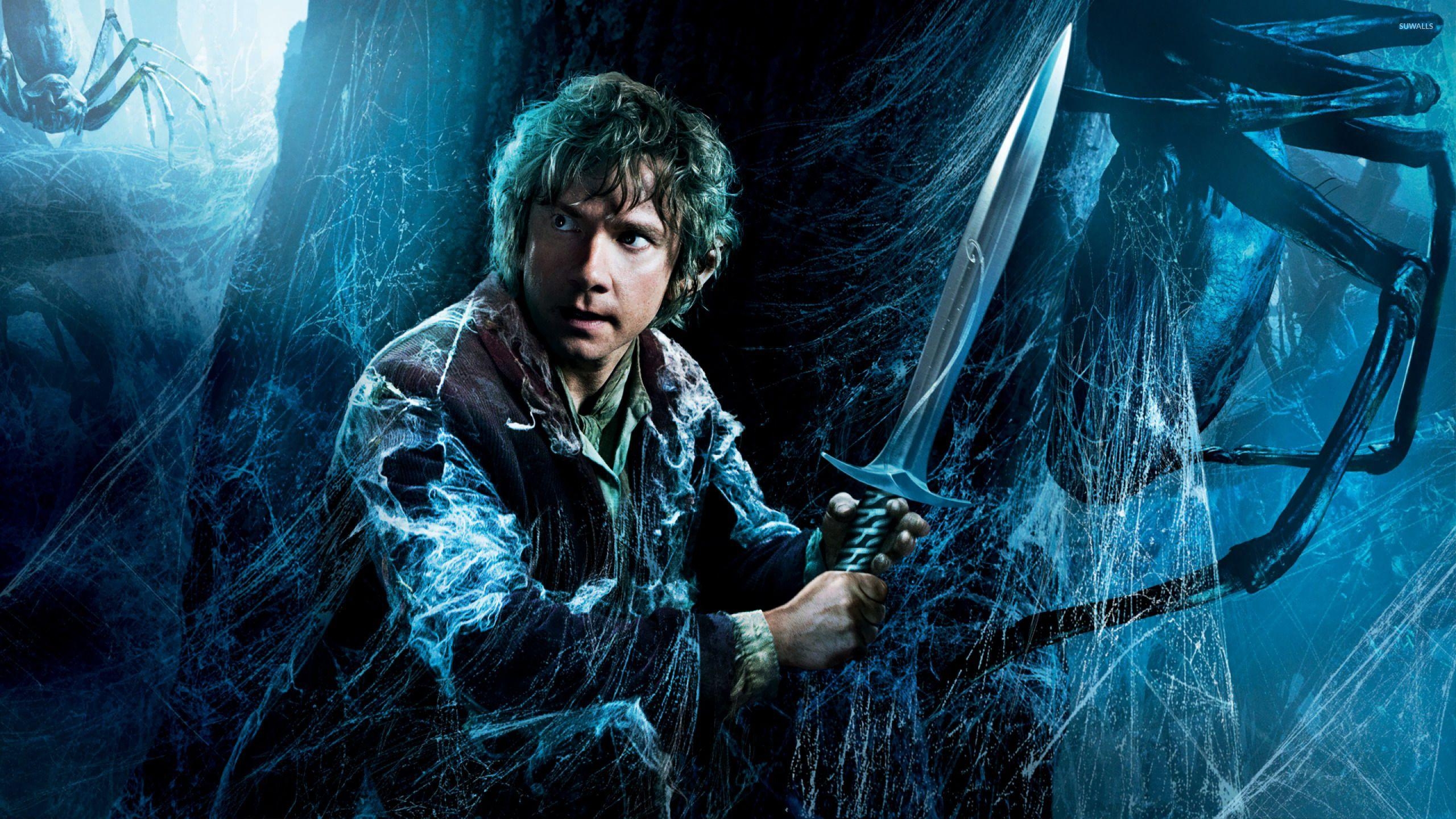 Bilbo Beutlin, Der Hobbit, Filmcharakter, Fantasy, Abenteuer, 2560x1440 HD Desktop