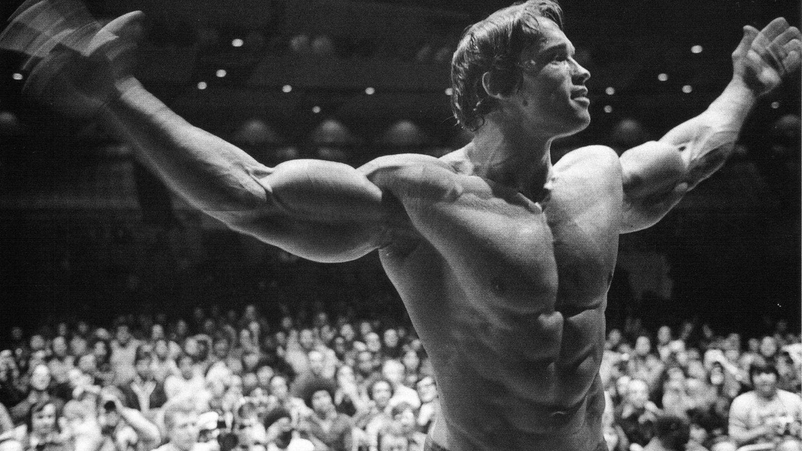 Arnold Schwarzenegger, Bodybuilding, HD, Bild, Hintergrund, 1600x900 HD Desktop