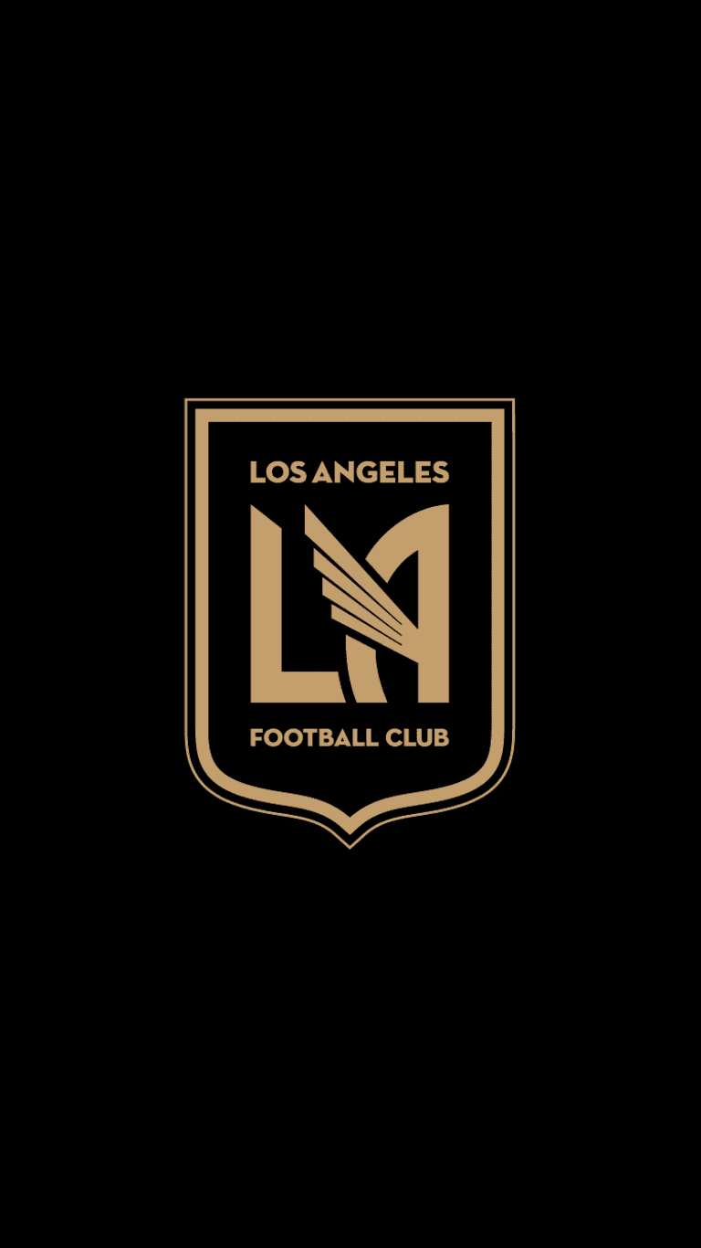 Los Angeles, Fußball Club, Hintergrund, MLS, Bild, 770x1370 HD Handy